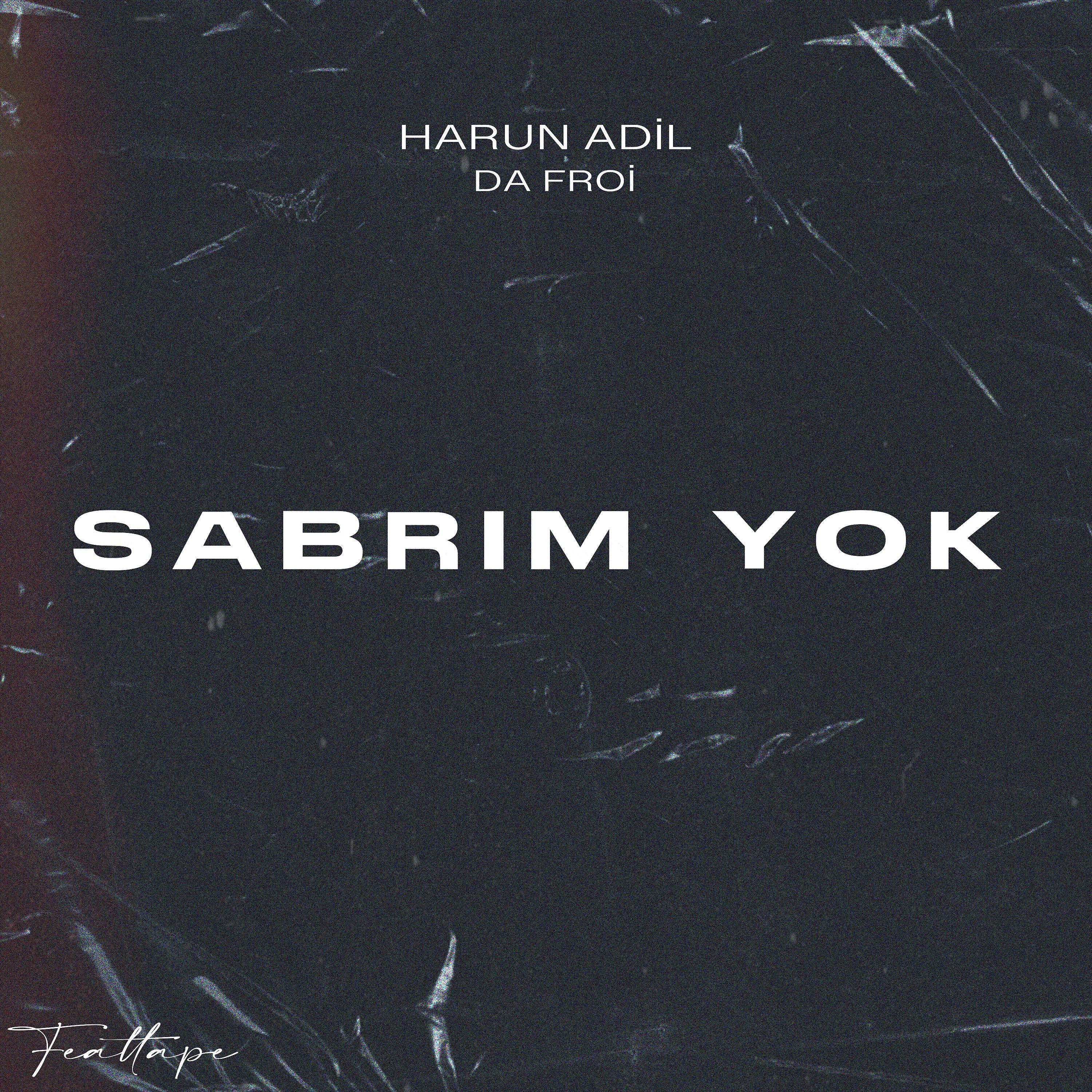 Постер альбома Sabrım Yok