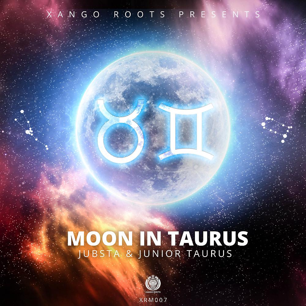 Постер альбома Moon In Taurus