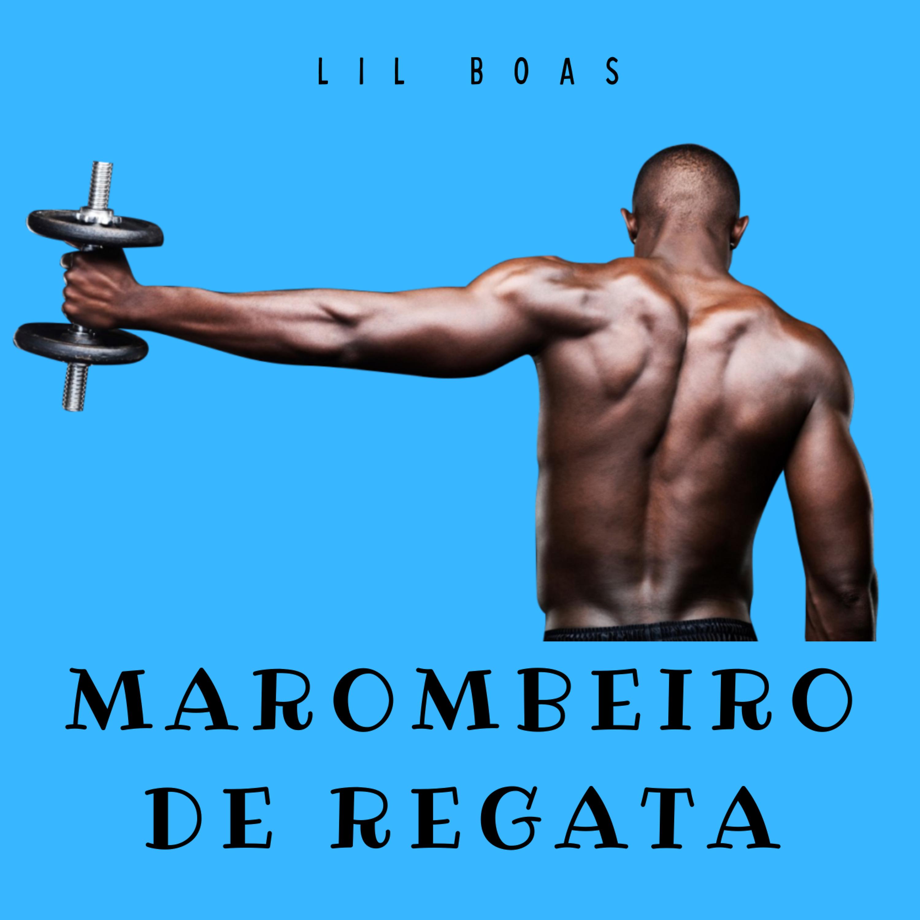 Постер альбома Marombeiro de Regata