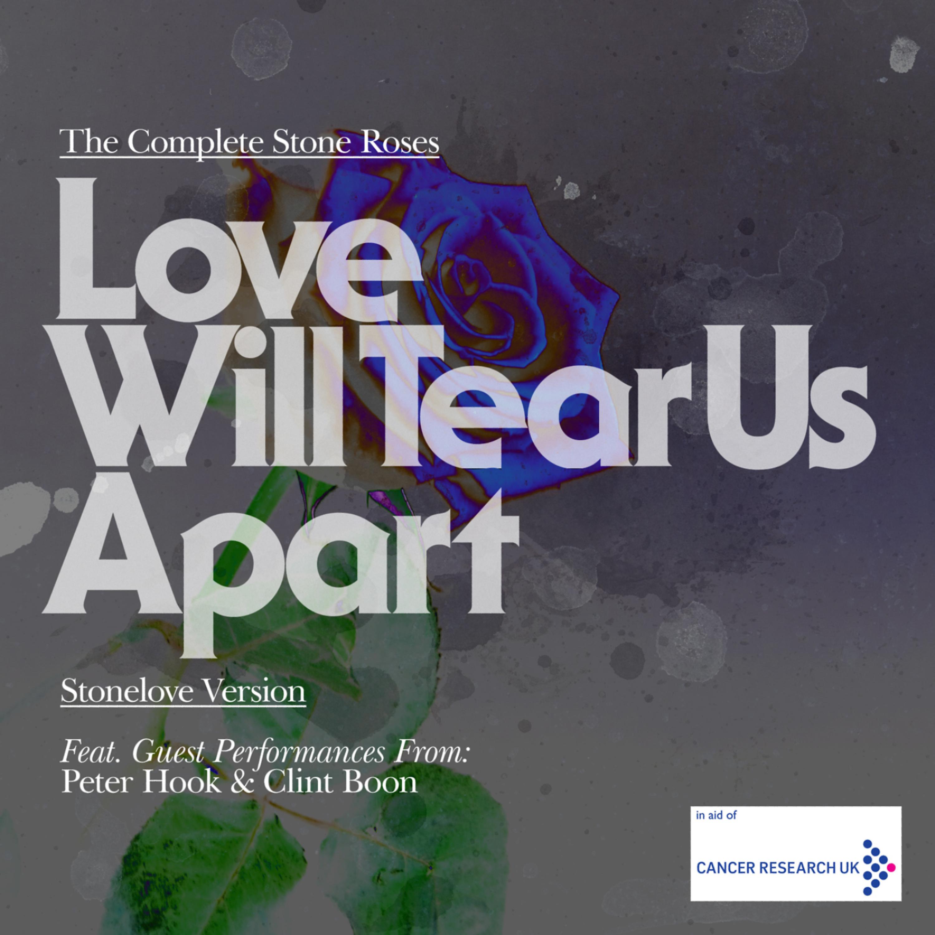 Постер альбома Love WIll Tear Us Apart