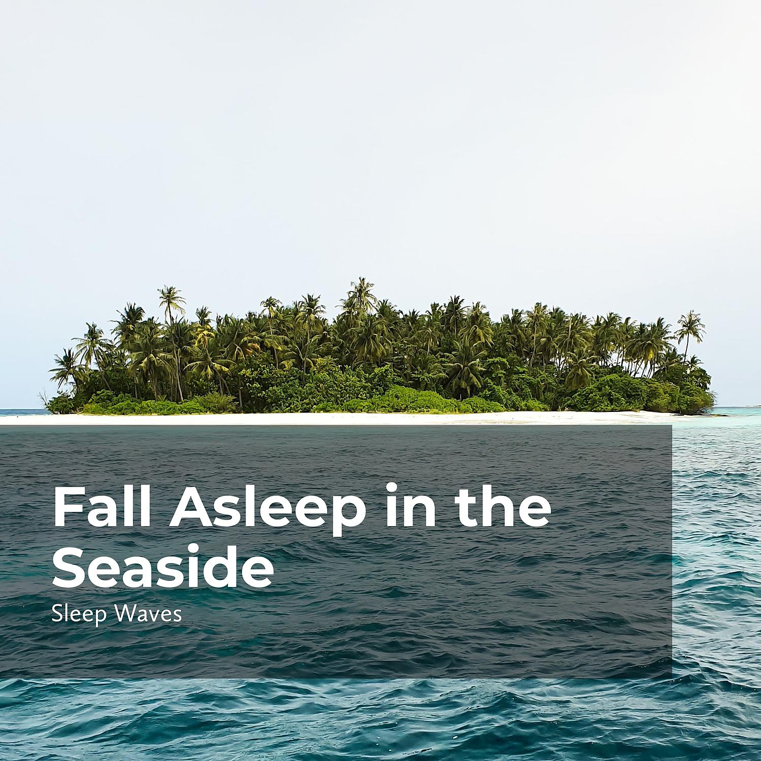 Постер альбома Fall Asleep in the Seaside