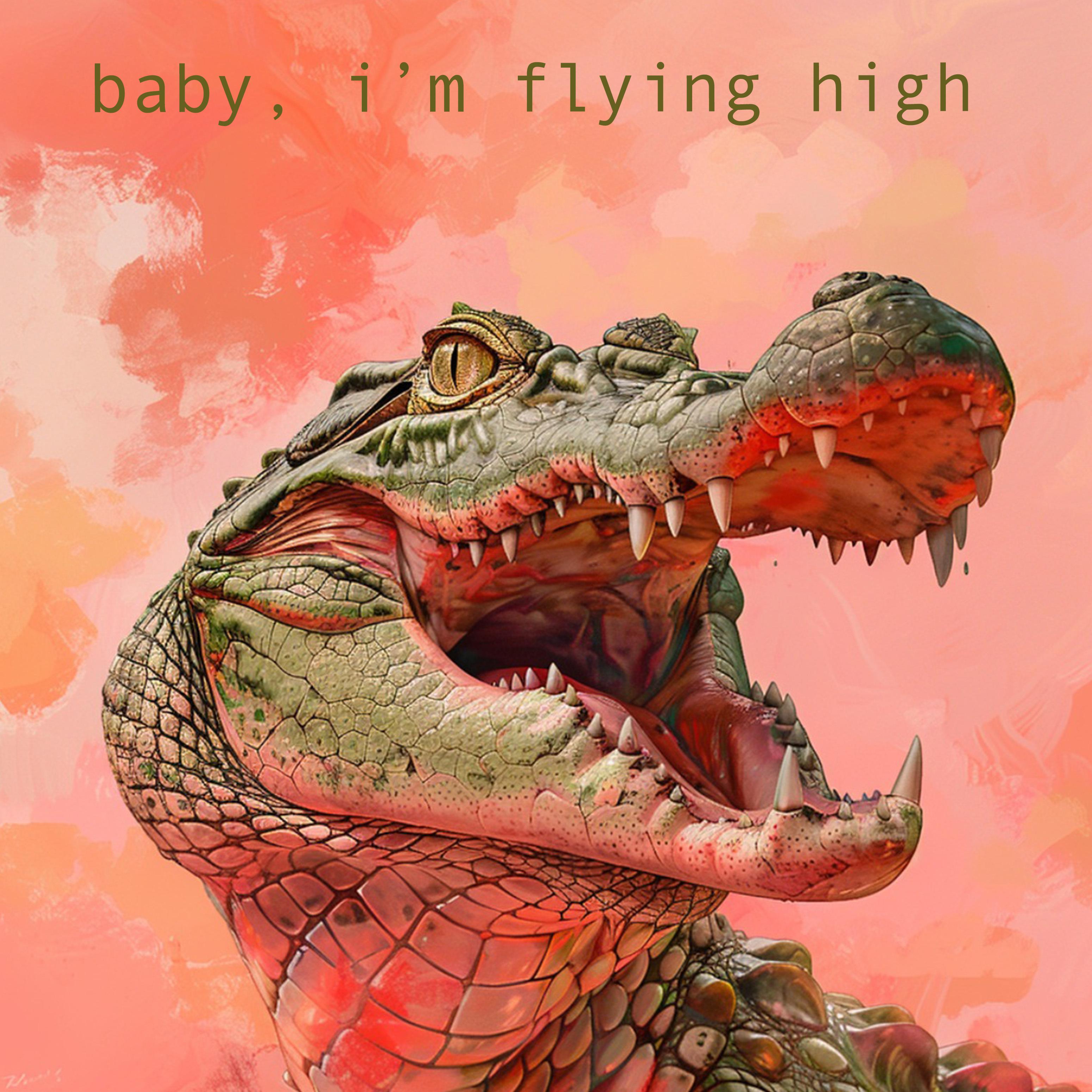 Постер альбома Baby, I'm Flying High
