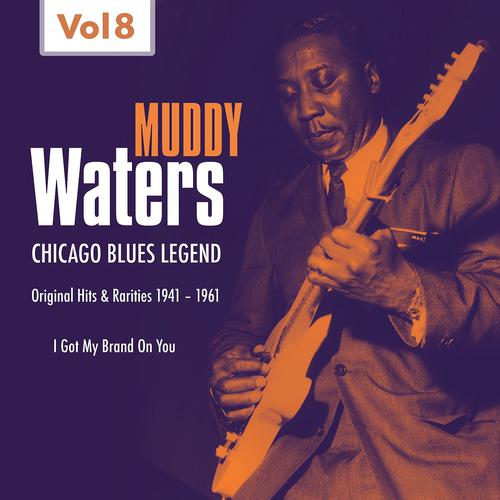 Постер альбома Muddy Waters - Orinal Hits & Rarities (1941 - 1961, Vol. 8)