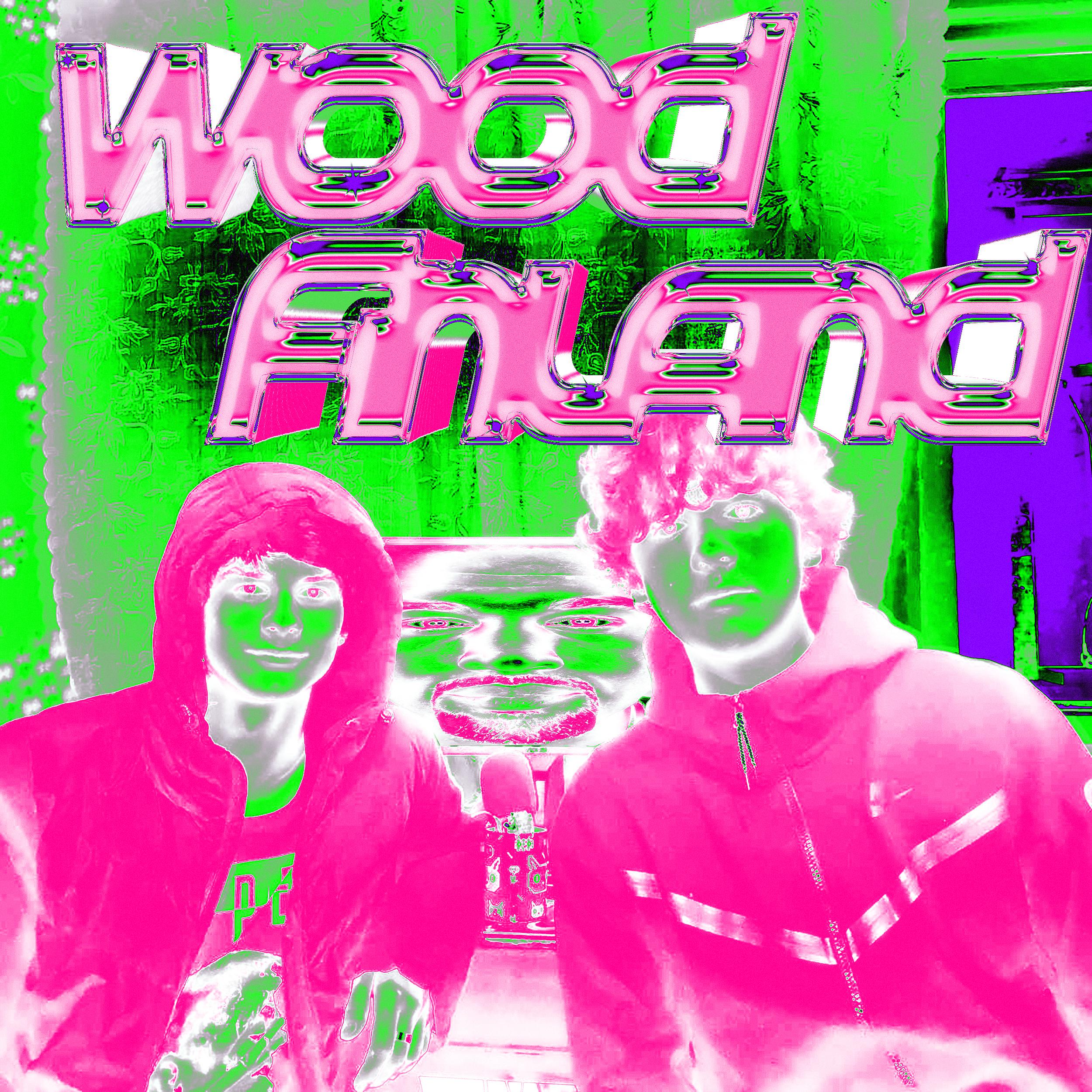 Постер альбома Wood Finland