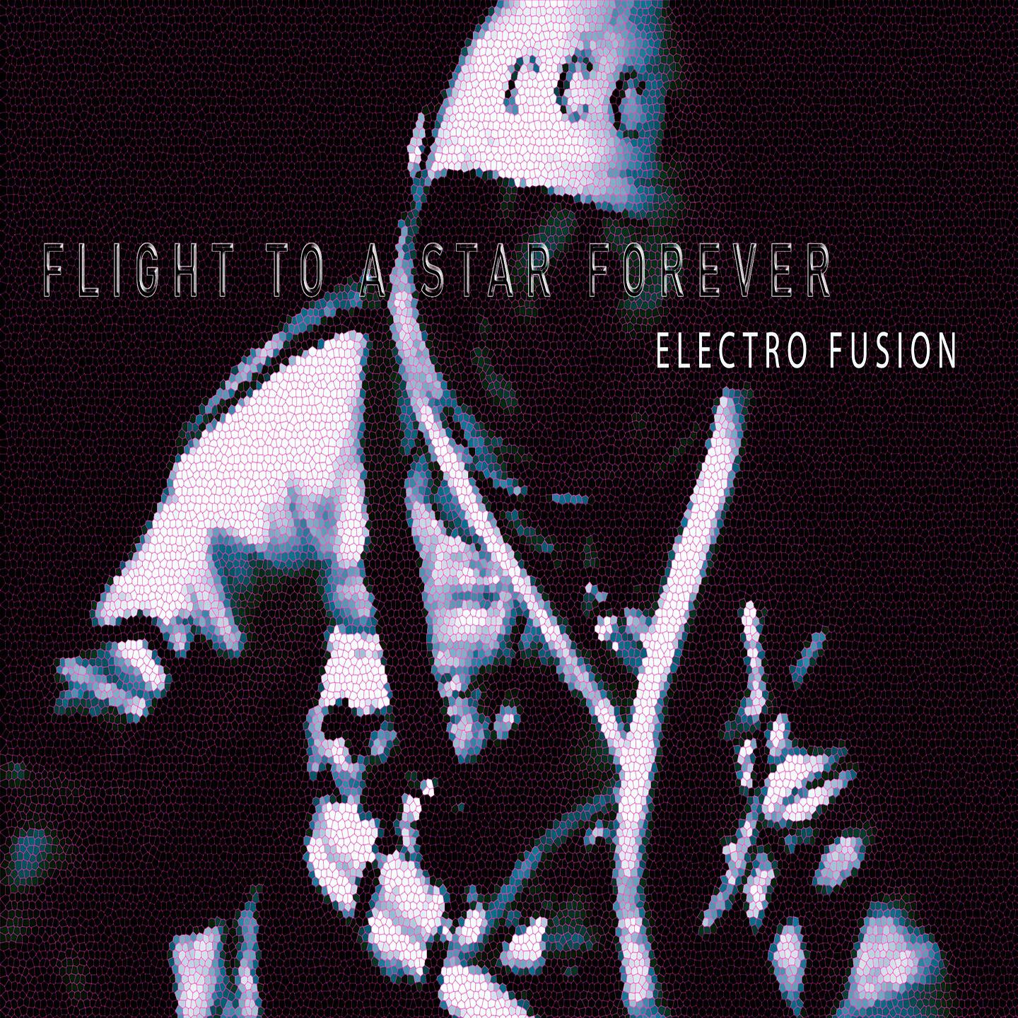Постер альбома Flight to a Star Forever