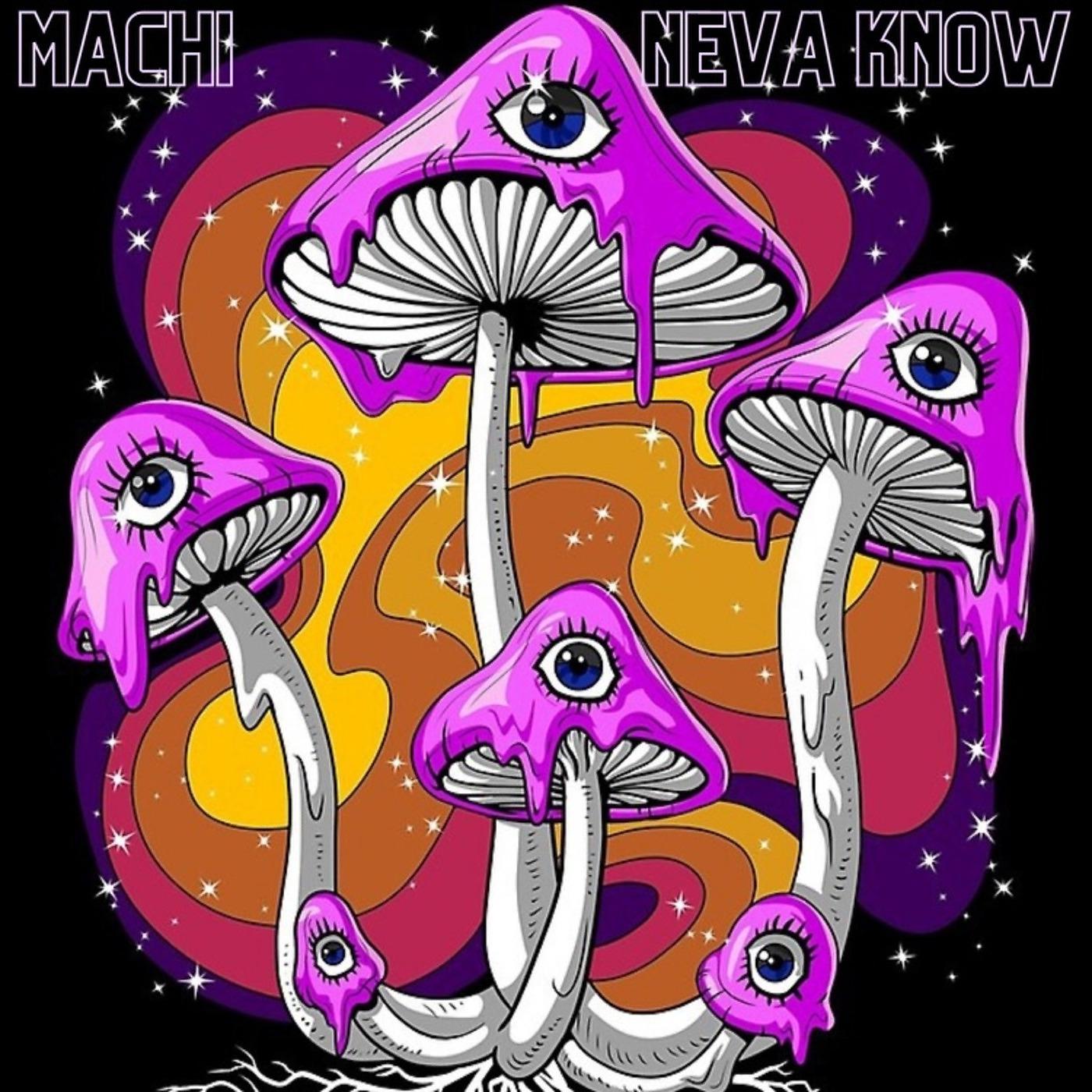 Постер альбома Neva Know