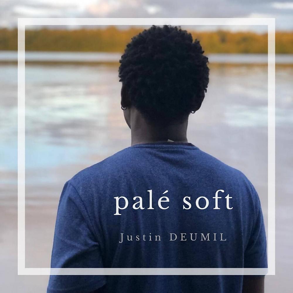 Постер альбома Palé soft