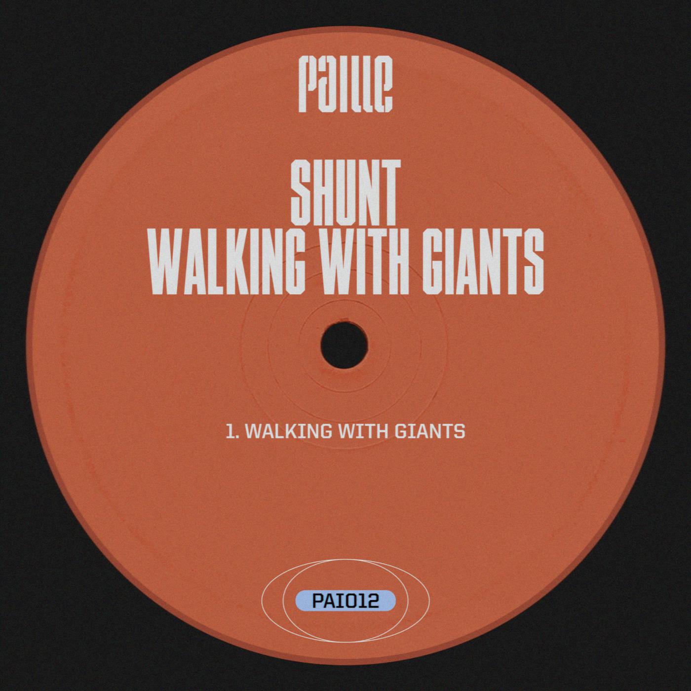 Постер альбома Walking With Giants