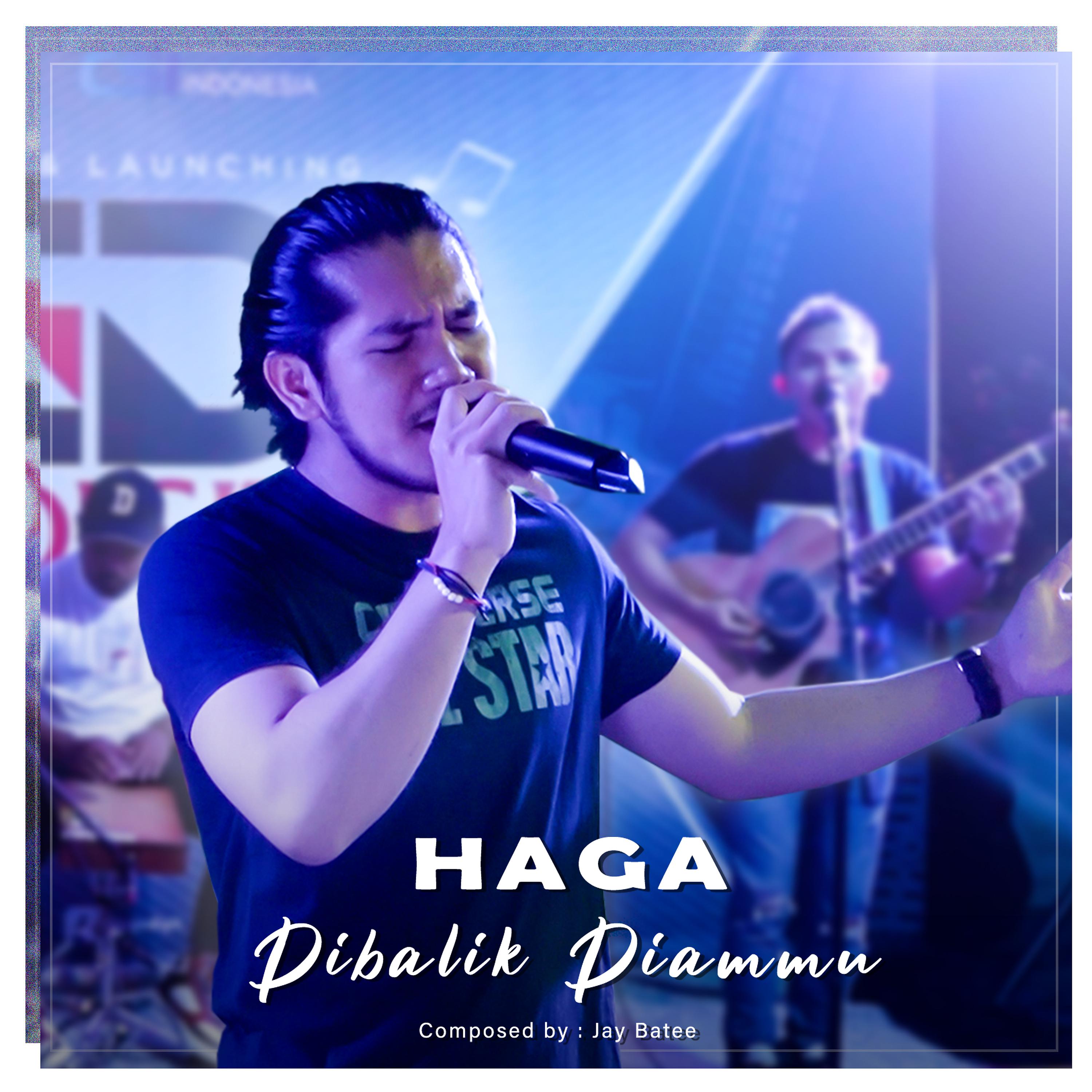 Постер альбома Dibalik Diammu