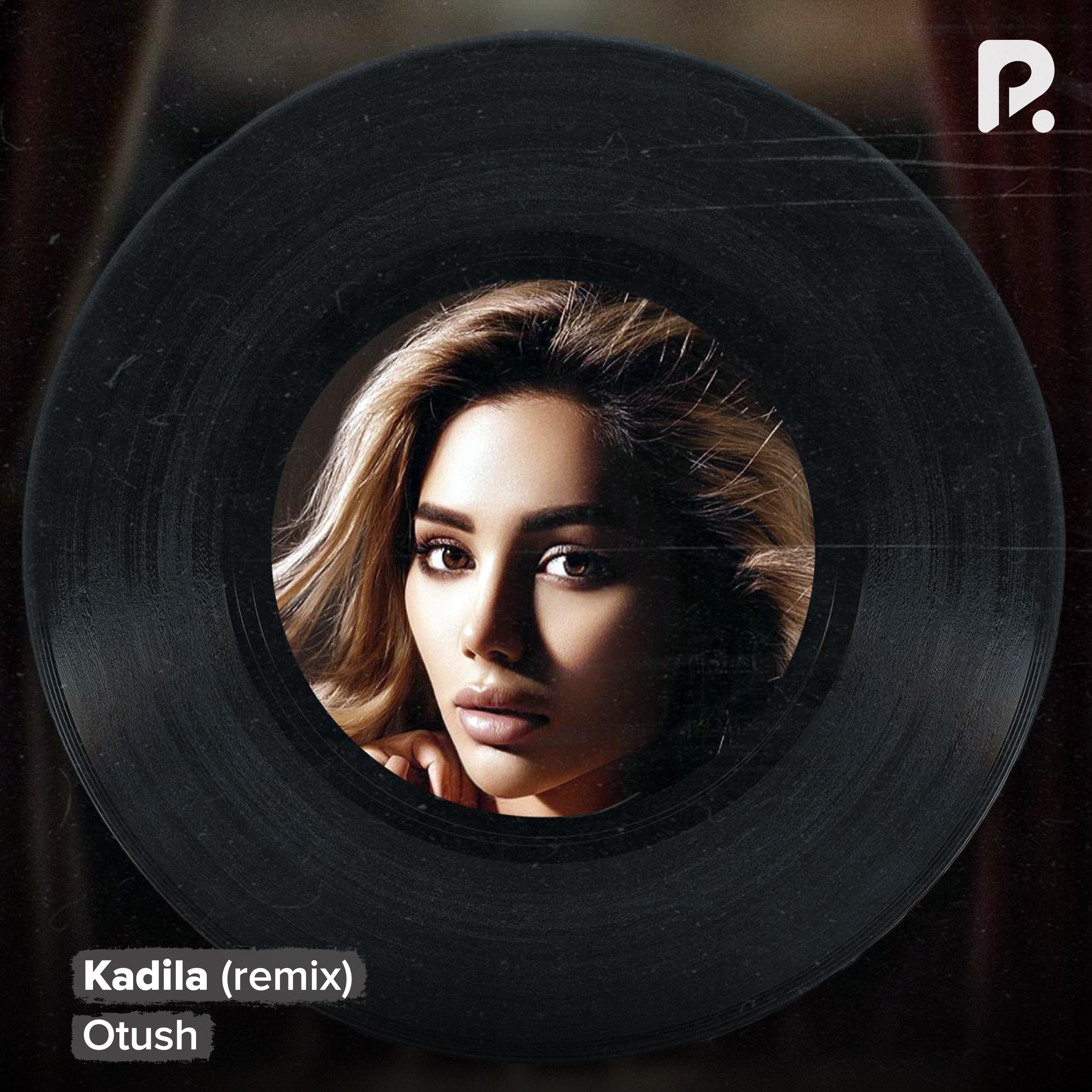 Постер альбома Kadila (remix)
