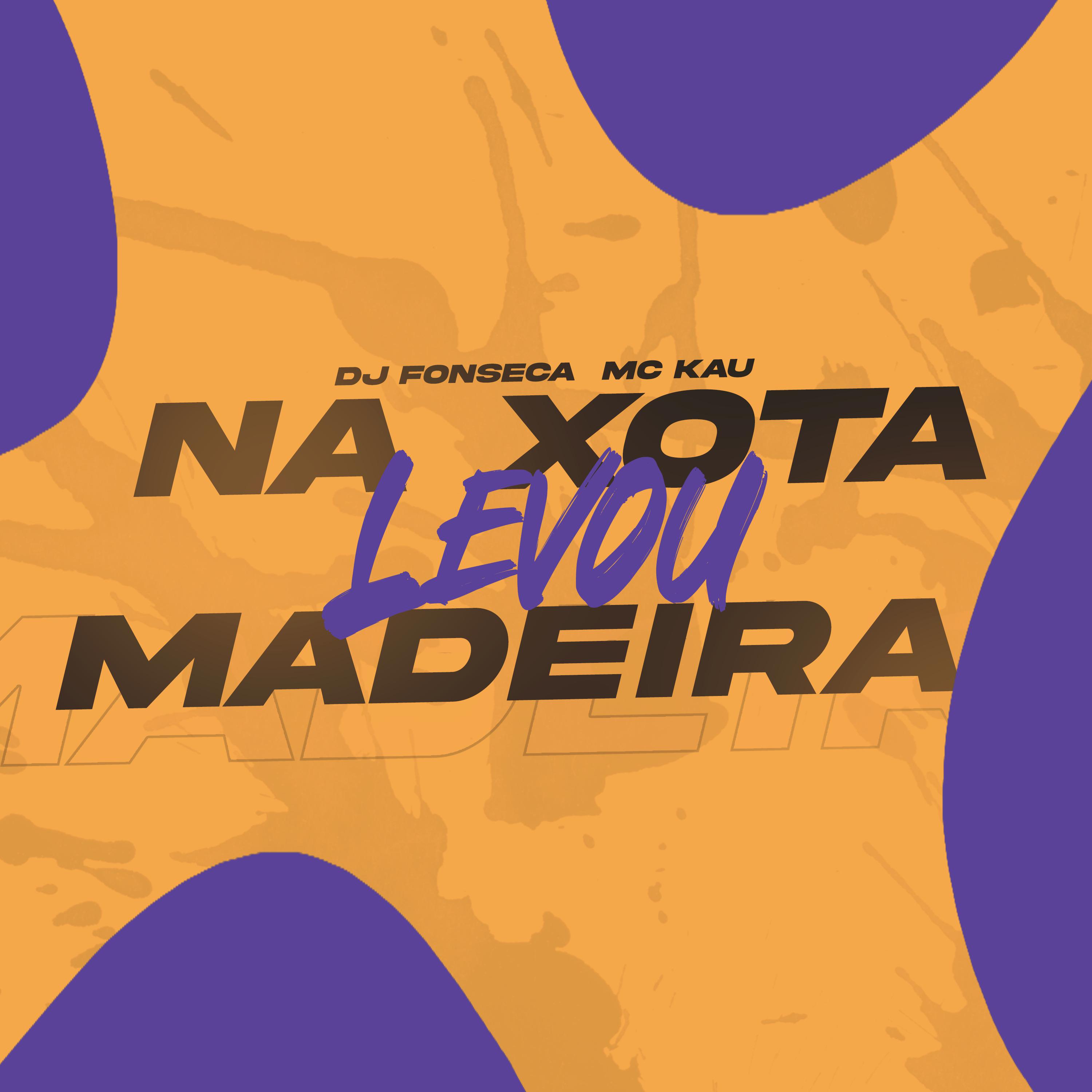 Постер альбома Na Xota Levou Madeira