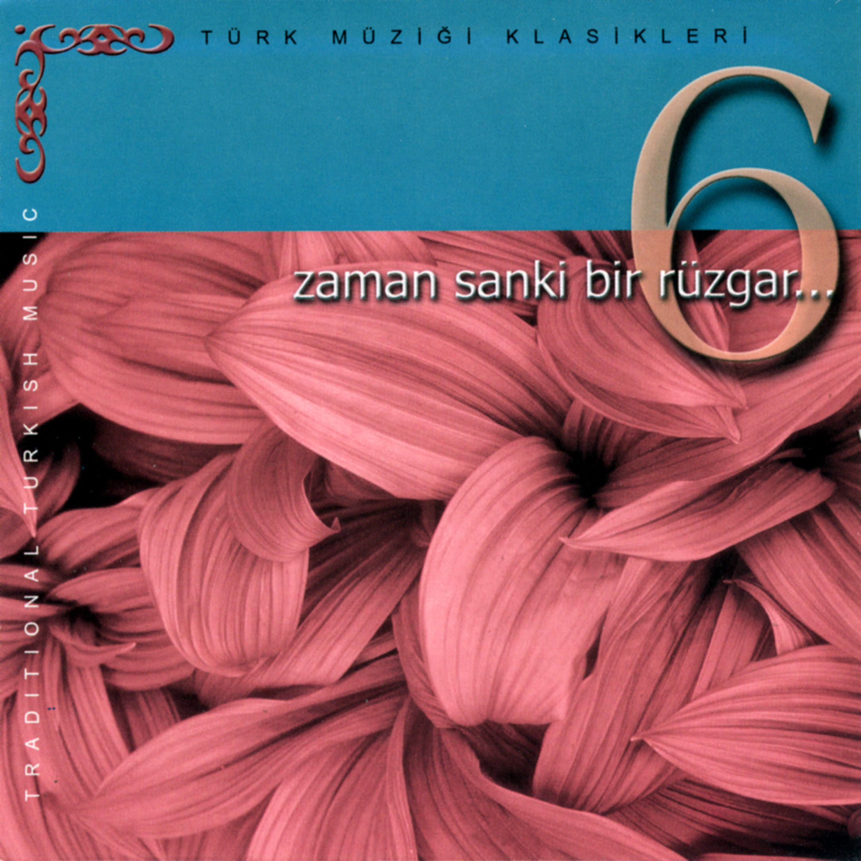 Постер альбома Zaman Sanki Bir Rüzgar 6