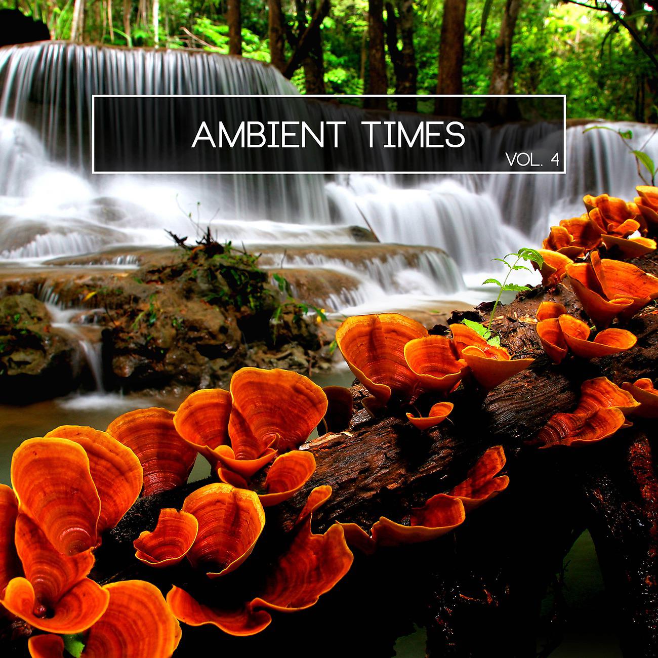 Постер альбома Ambient Times, Vol. 4