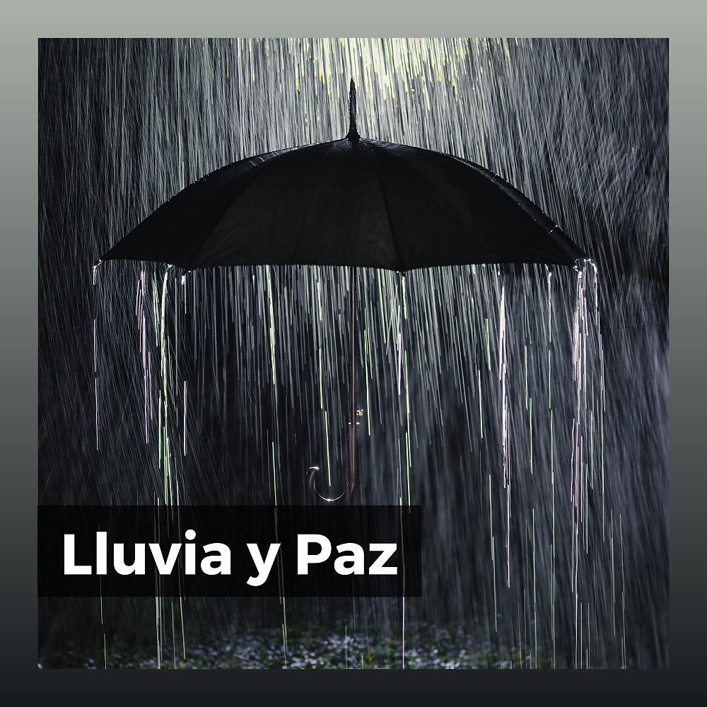 Постер альбома Lluvia y Paz