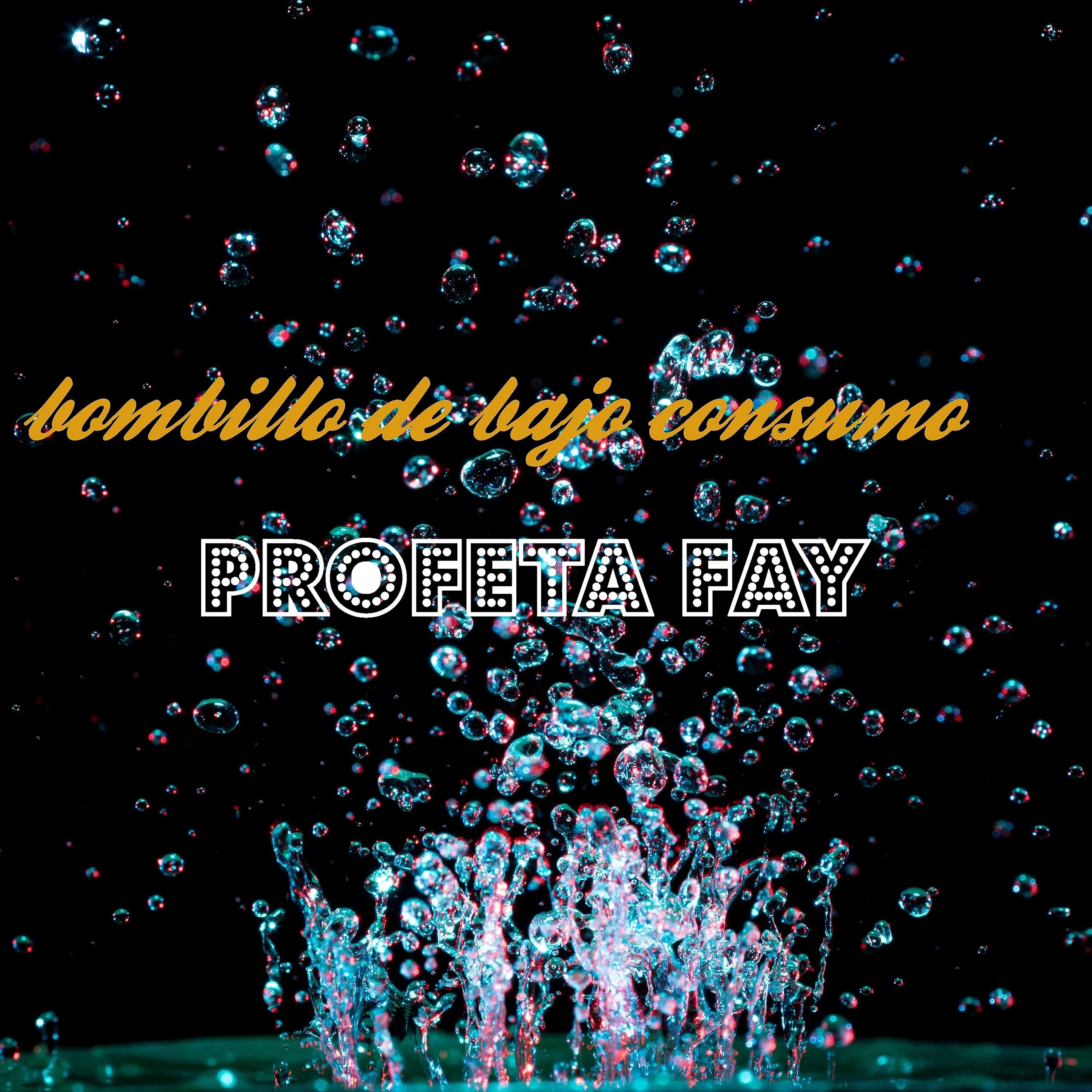 Постер альбома Bombillo de bajo consumo