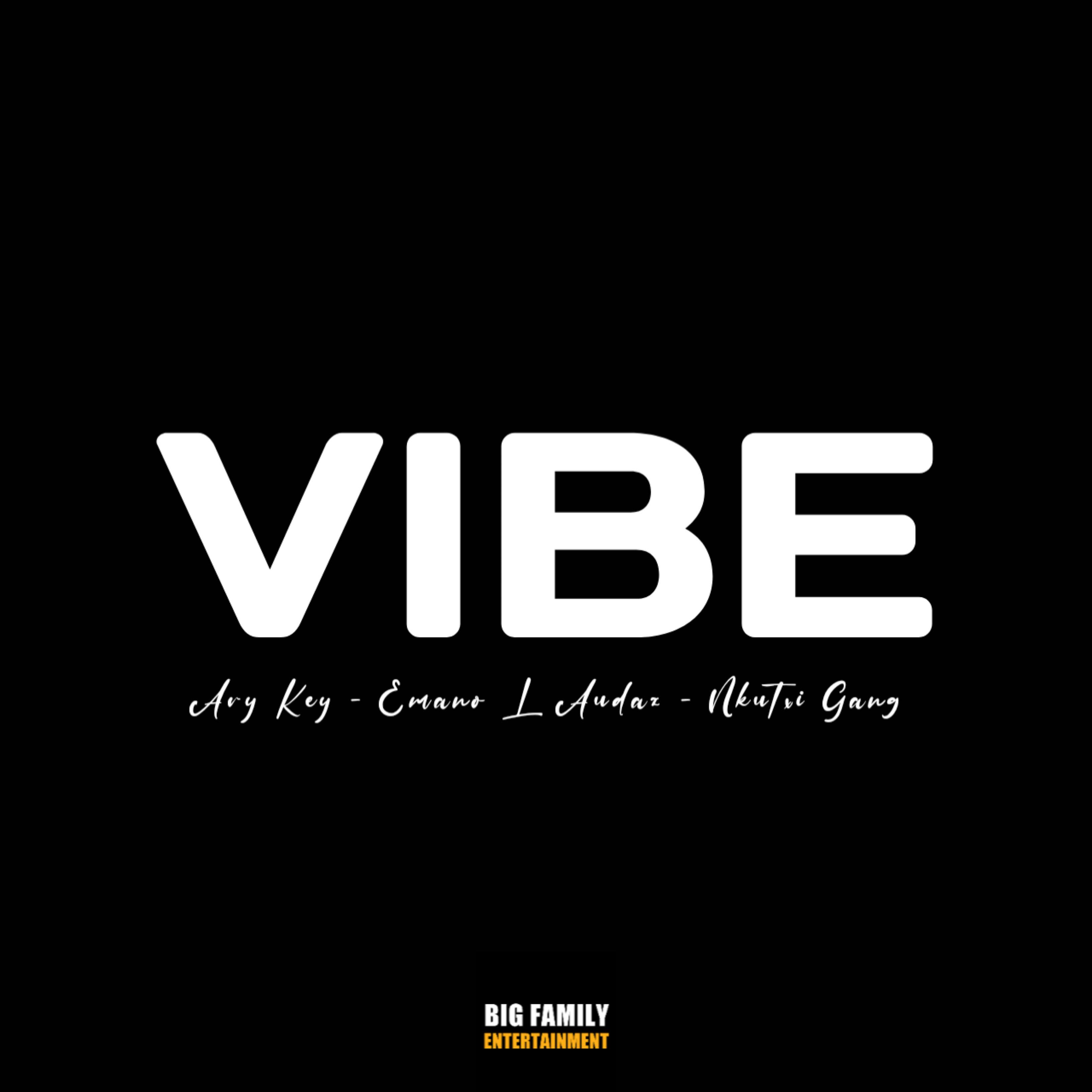 Постер альбома Vibe 2