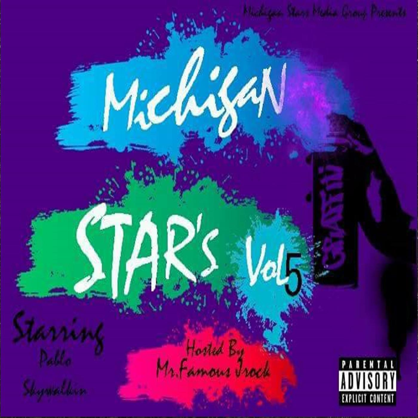 Постер альбома Michigan Stars, Vol.5