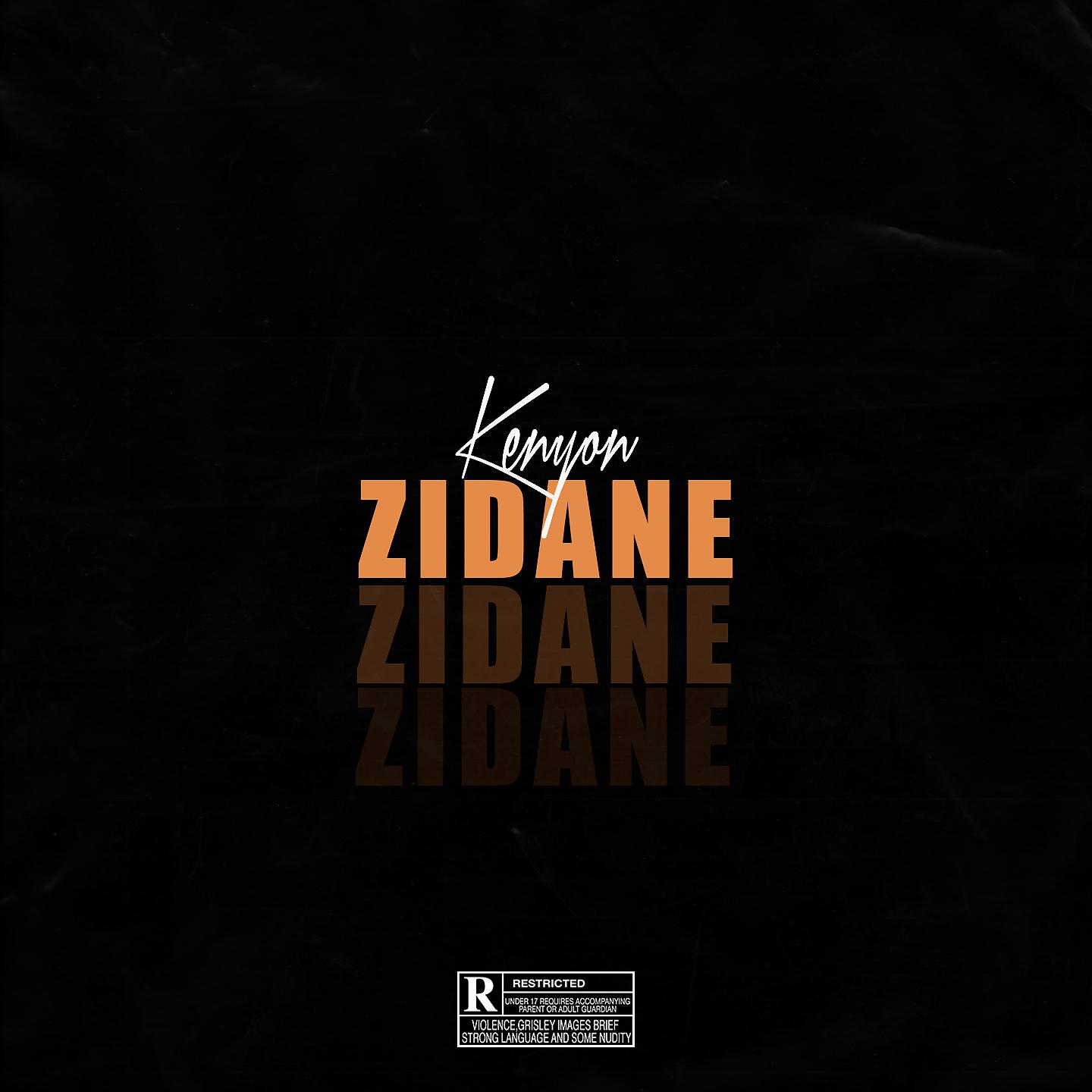 Постер альбома ZIDANE