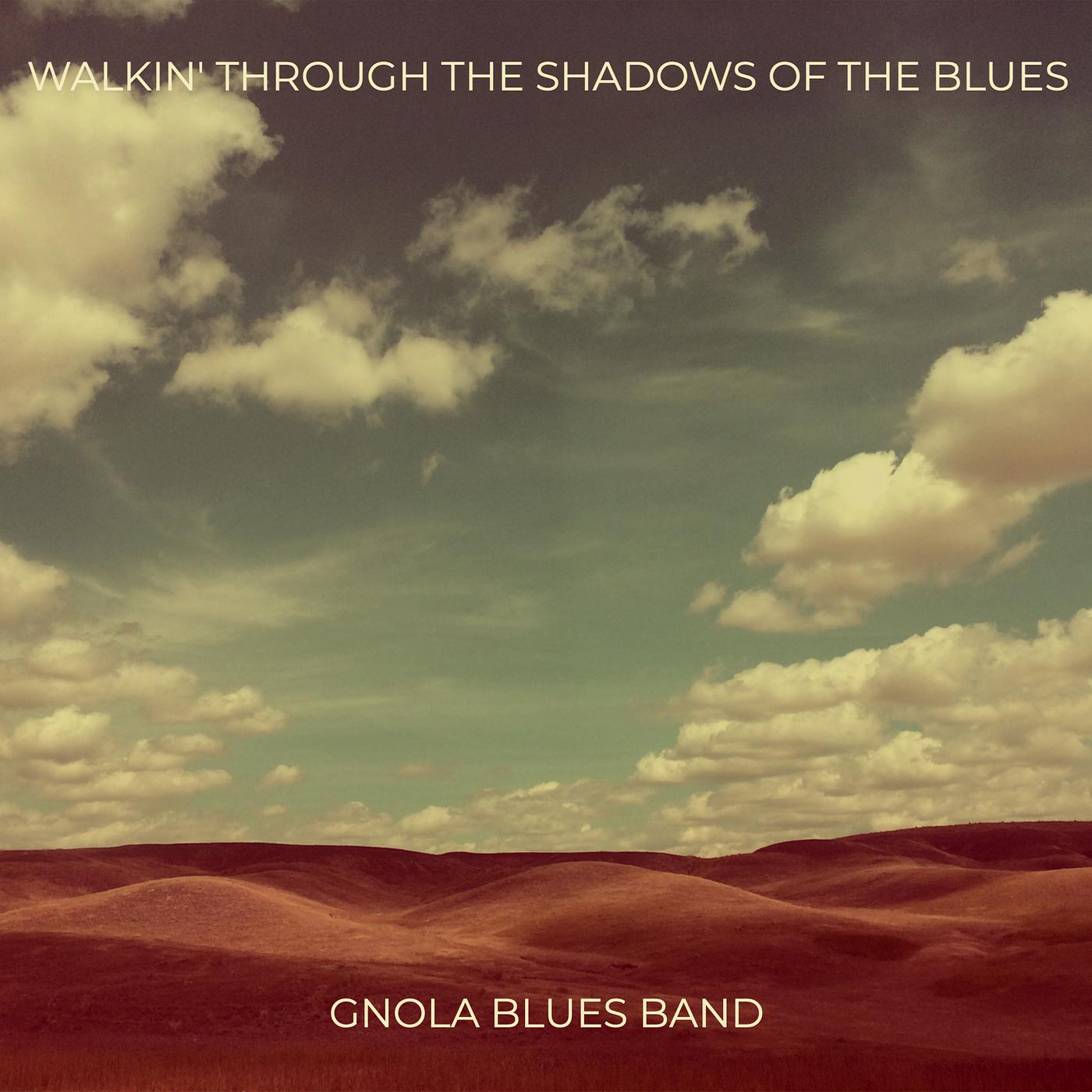 Постер альбома Walkin' through the Shadows of the Blues