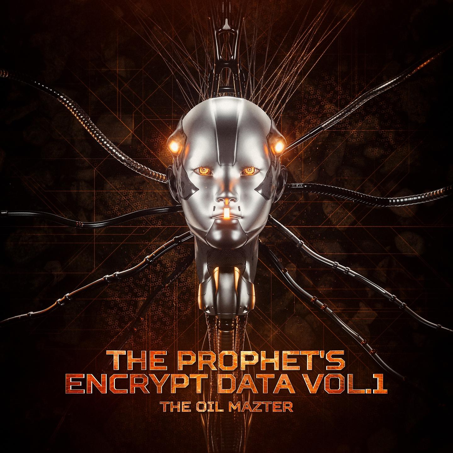 Постер альбома The Prophet's Encrypt Data Vol.1