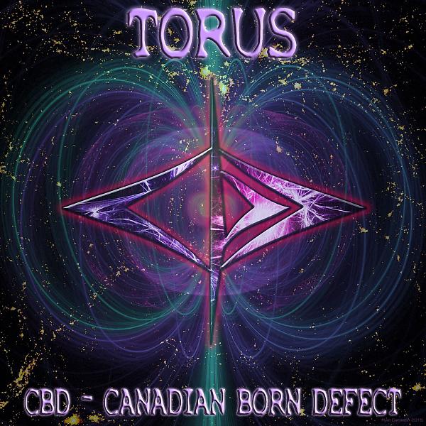 Постер альбома Torus