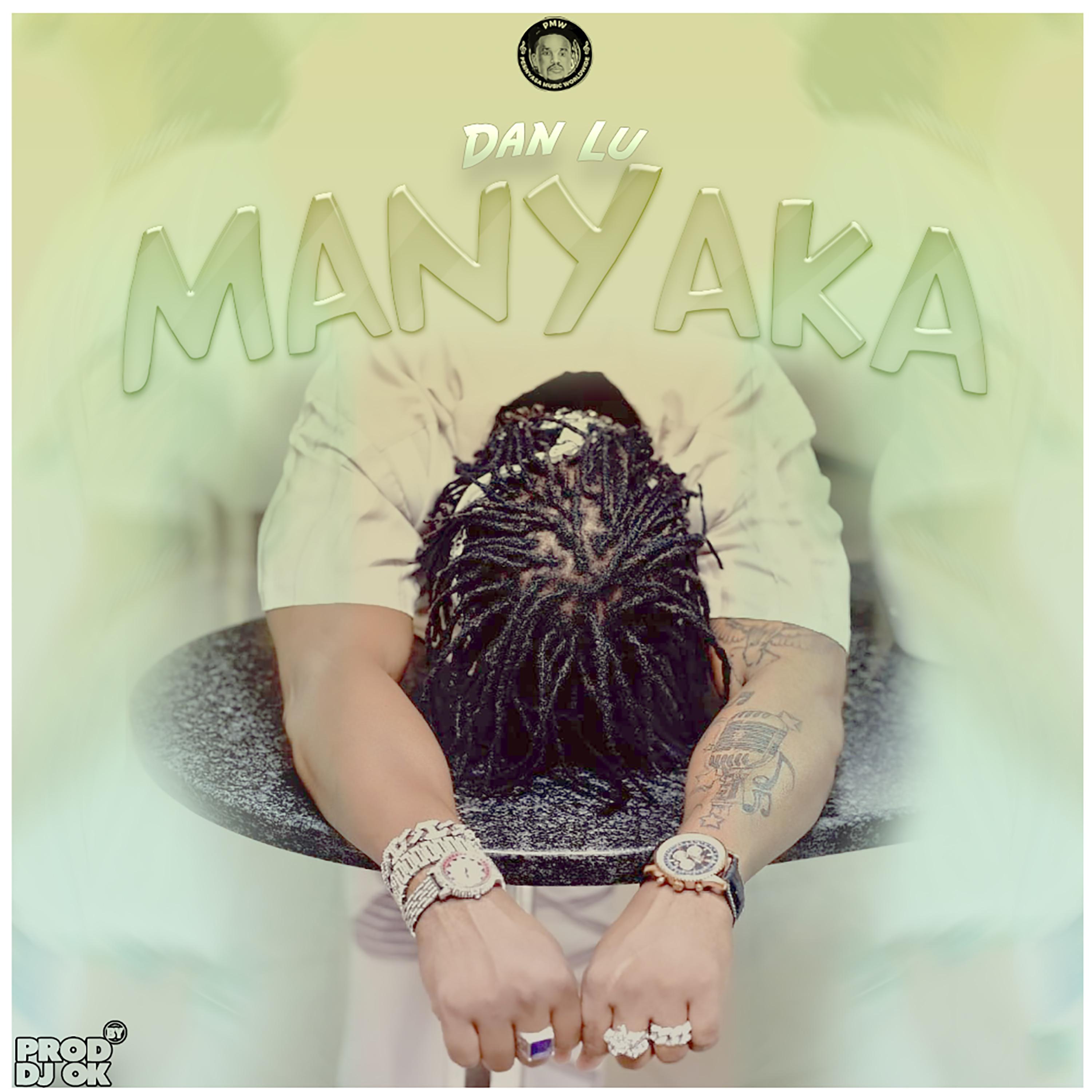 Постер альбома Manyaka