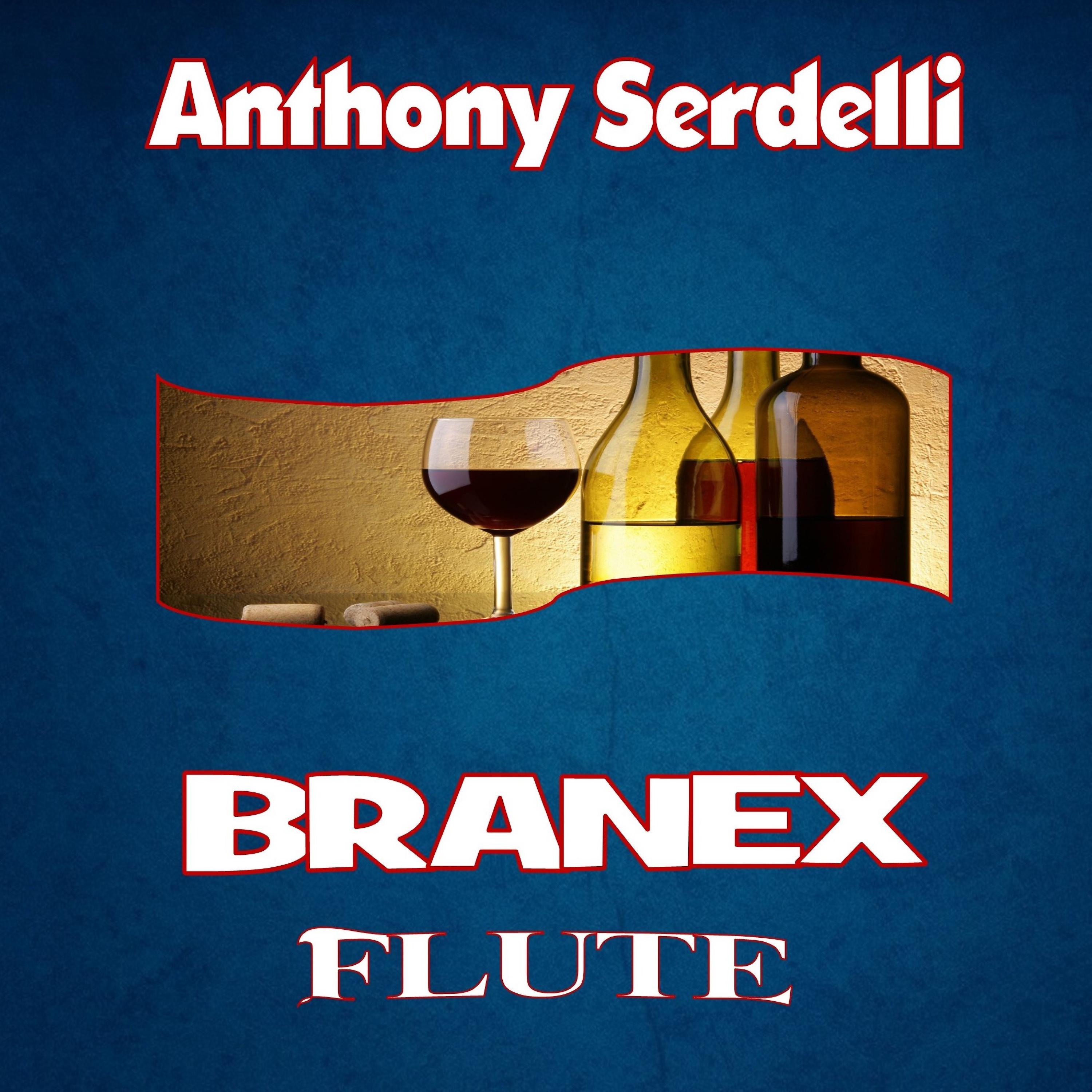 Постер альбома Branex Flute