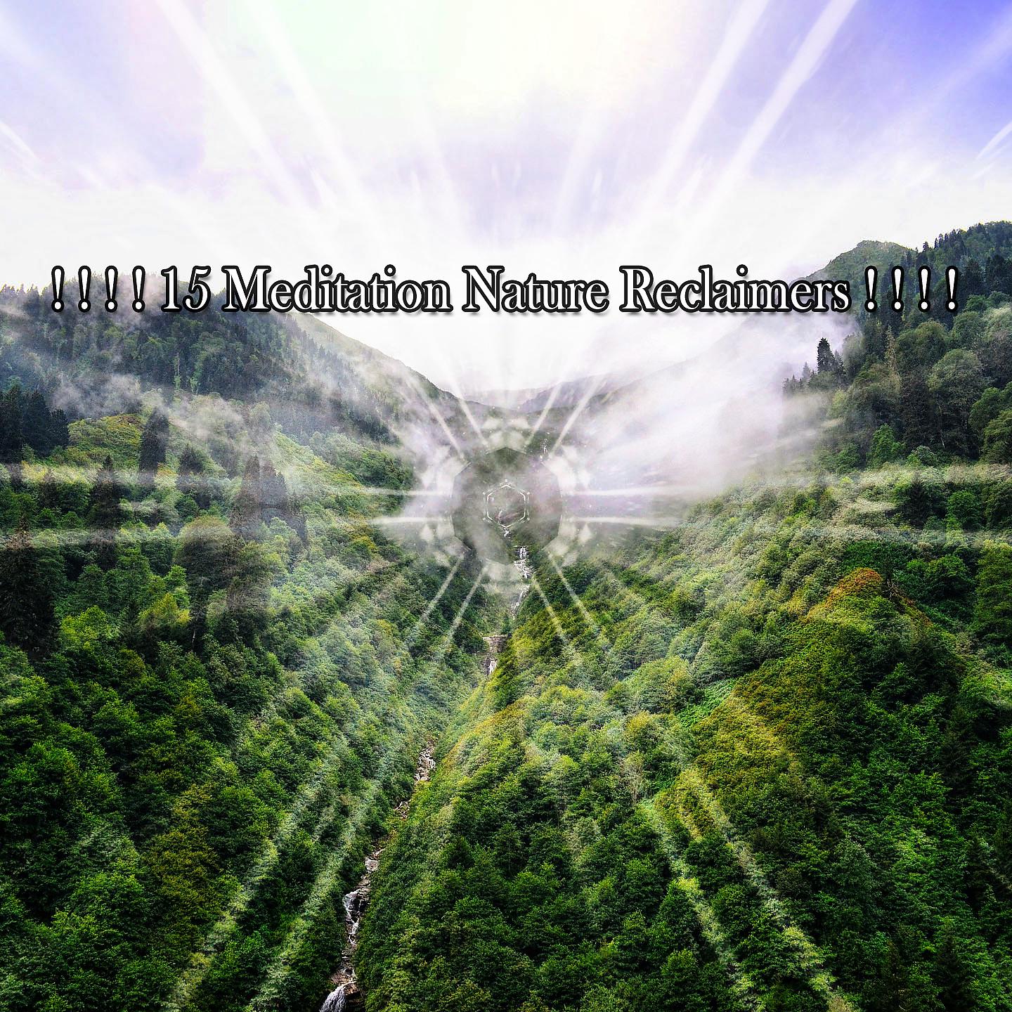 Постер альбома ! ! ! ! 15 медитаций для восстановления природы! ! ! !