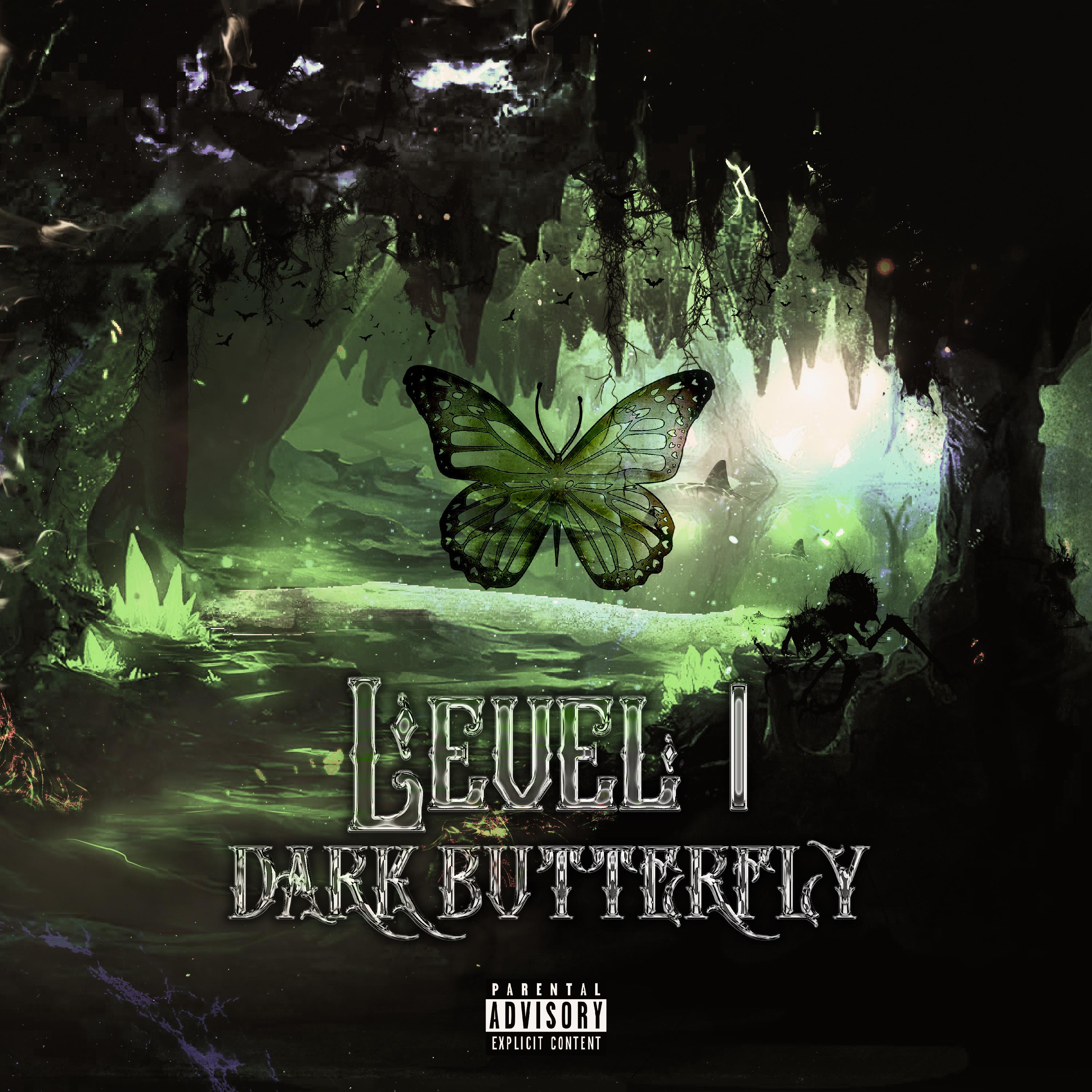 Постер альбома Level 1 - Dark Butterfly