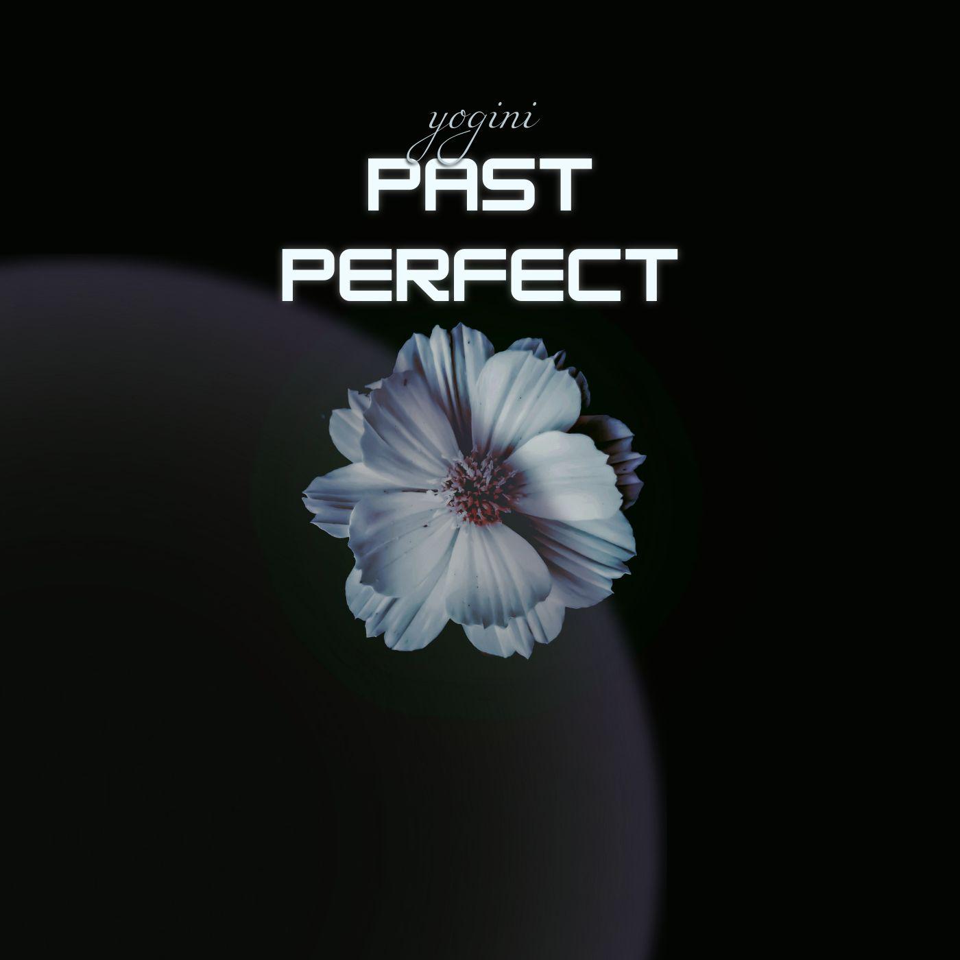 Постер альбома Past Perfect