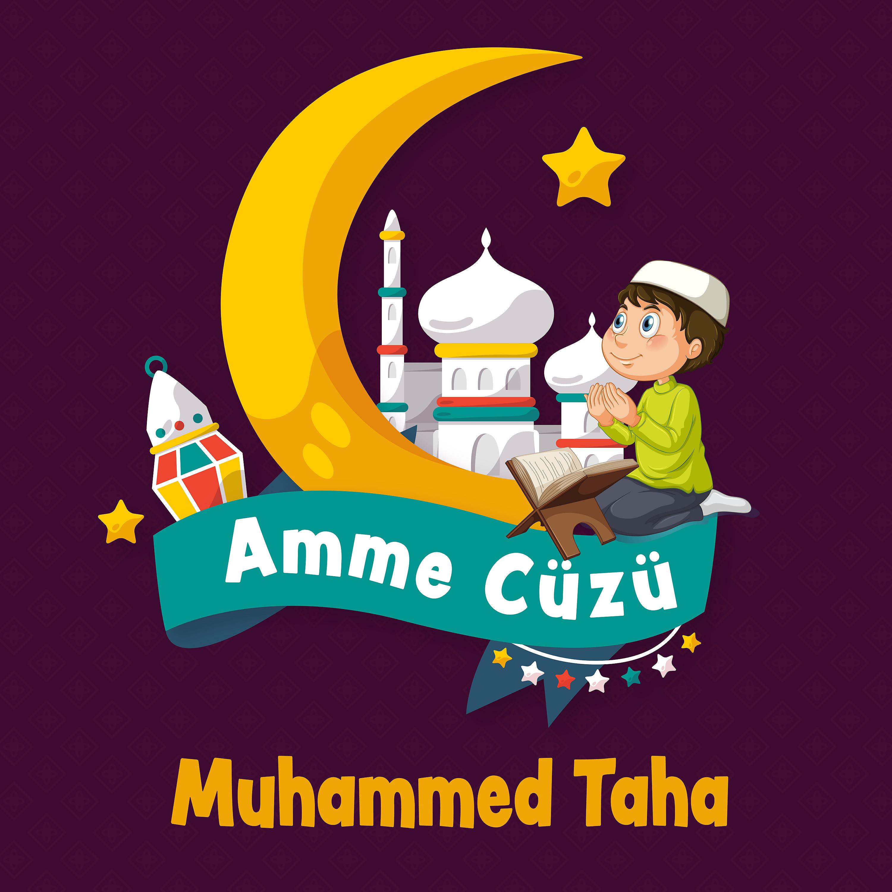 Постер альбома Amme Cüzü