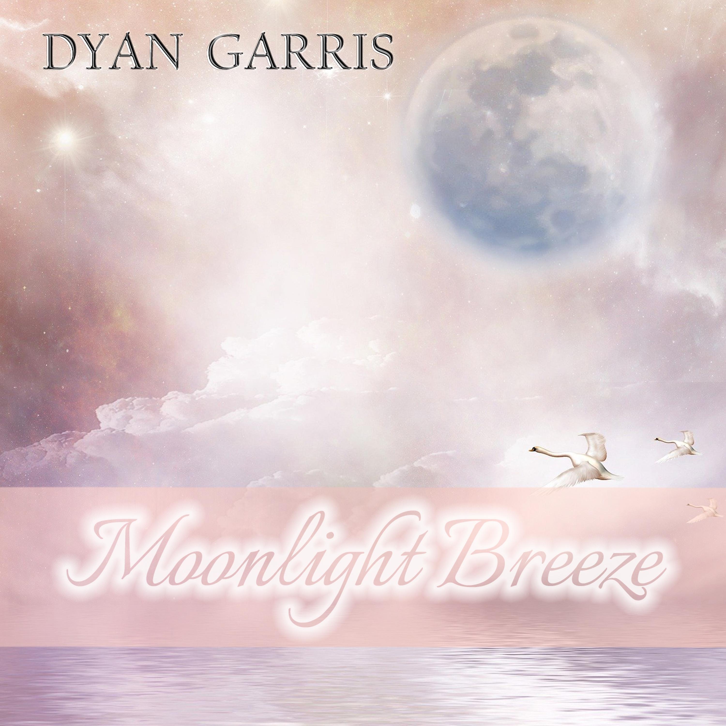 Постер альбома Moonlight Breeze