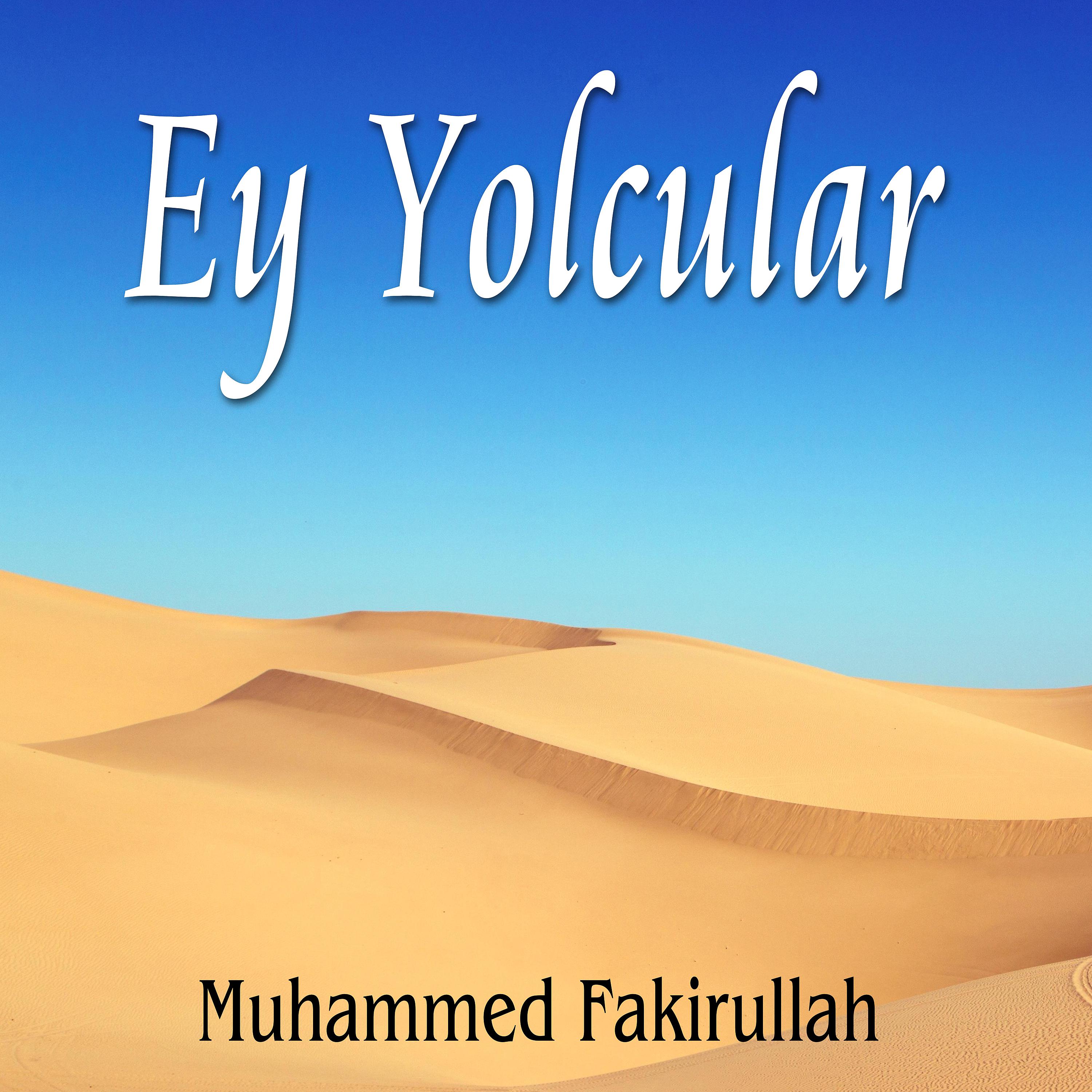 Постер альбома Ey Yolcular