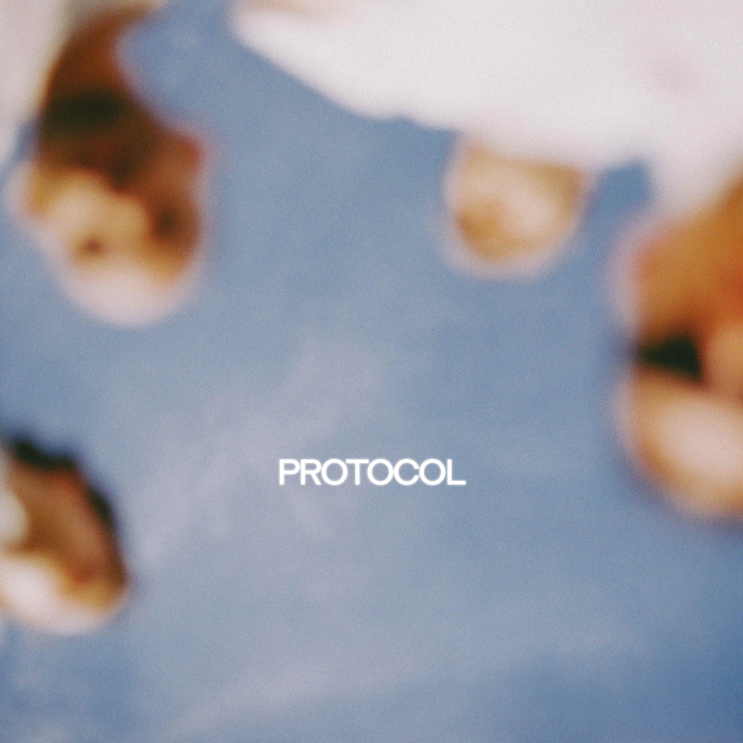 Постер альбома Protocol