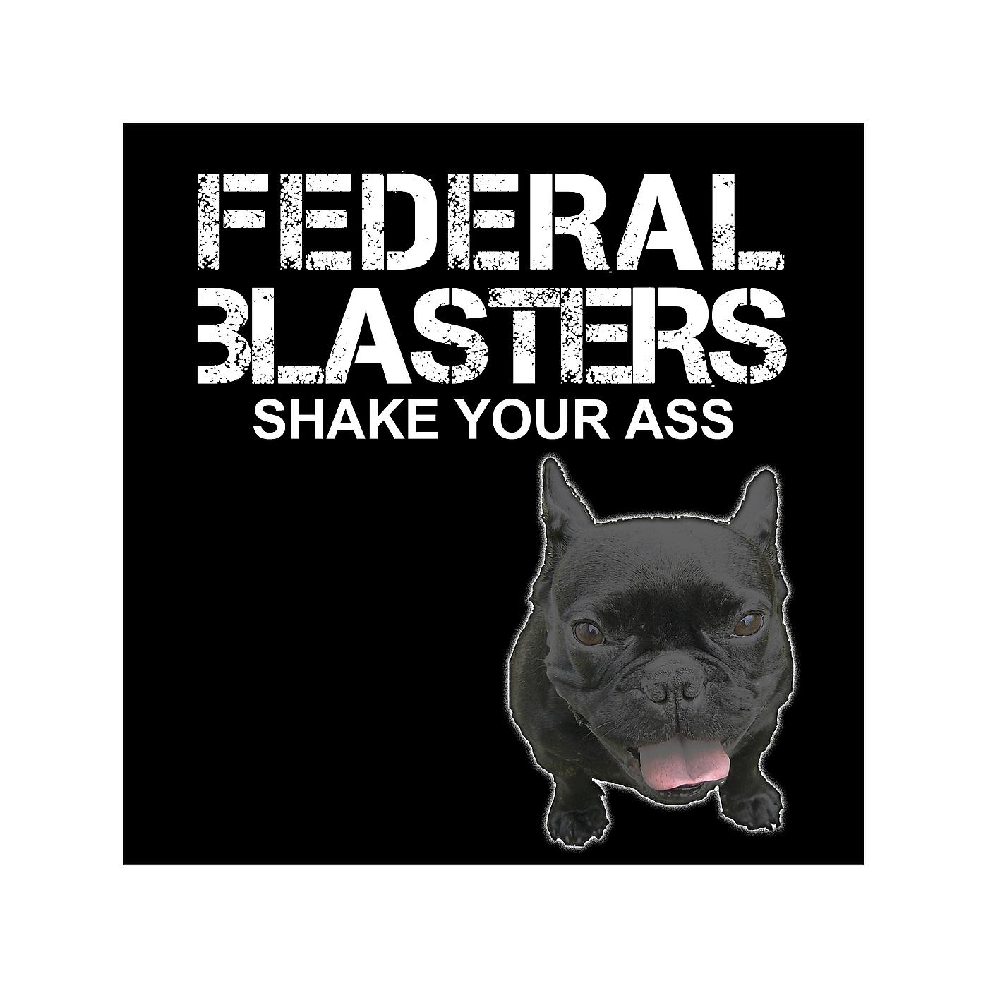 Постер альбома Shake Your Ass
