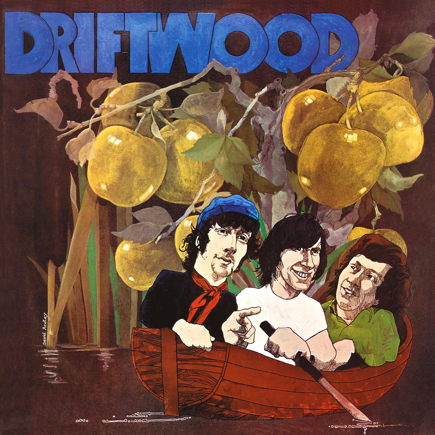 Постер альбома Driftwood