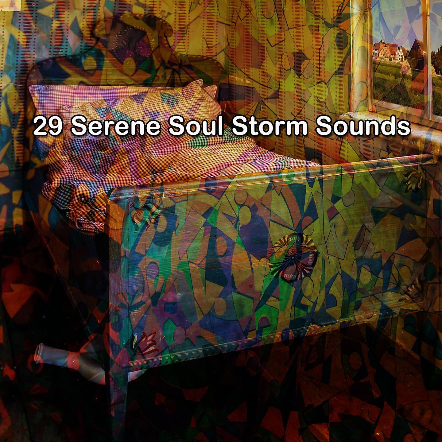 Постер альбома !!!! 29 Serene Soul Storm Sounds !!!!