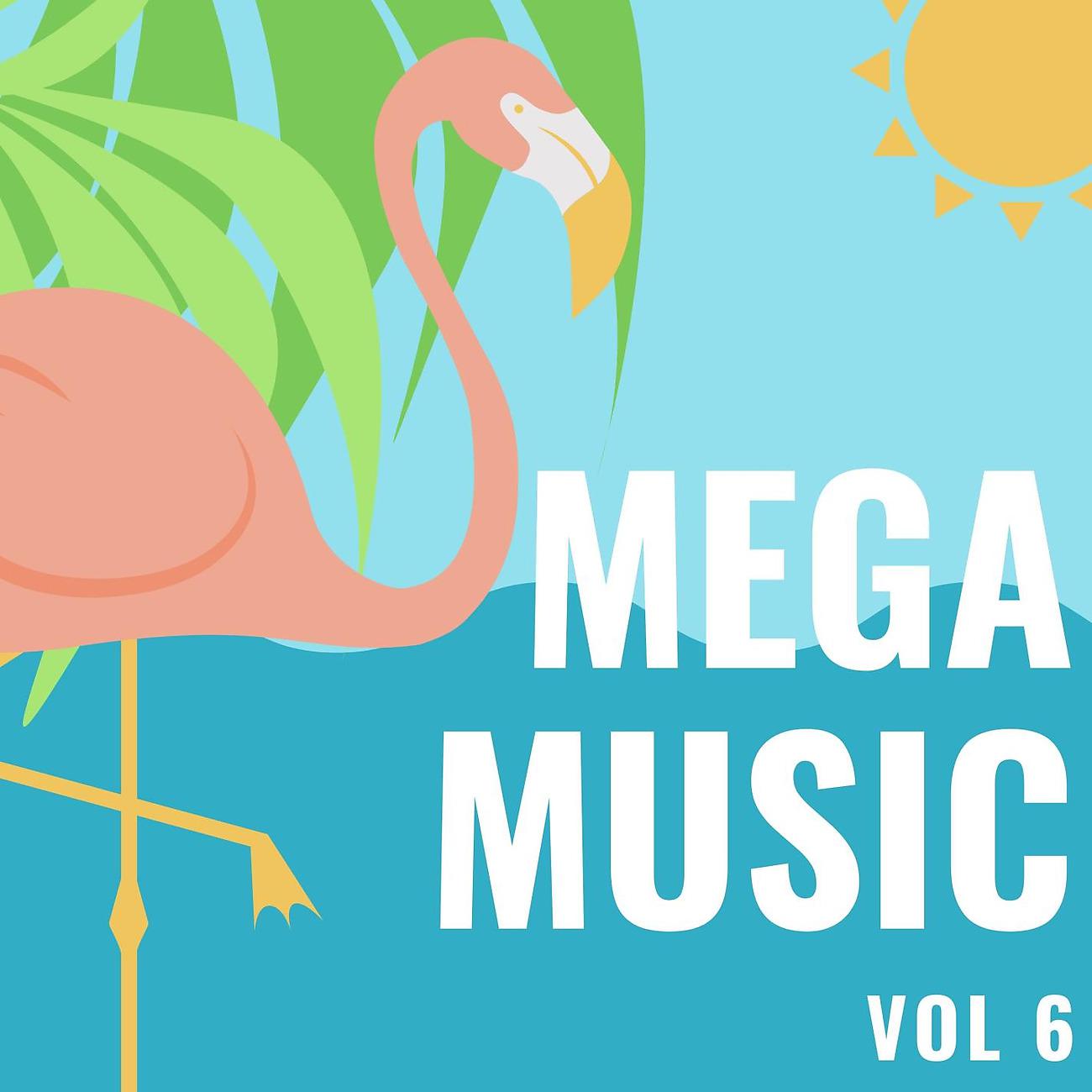 Постер альбома Mega Music Vol 6
