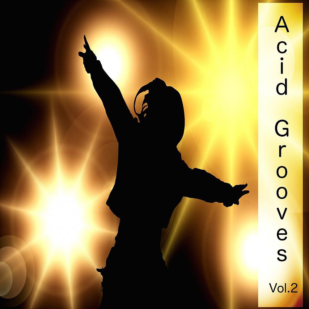 Постер альбома Acid Grooves, Vol. 2