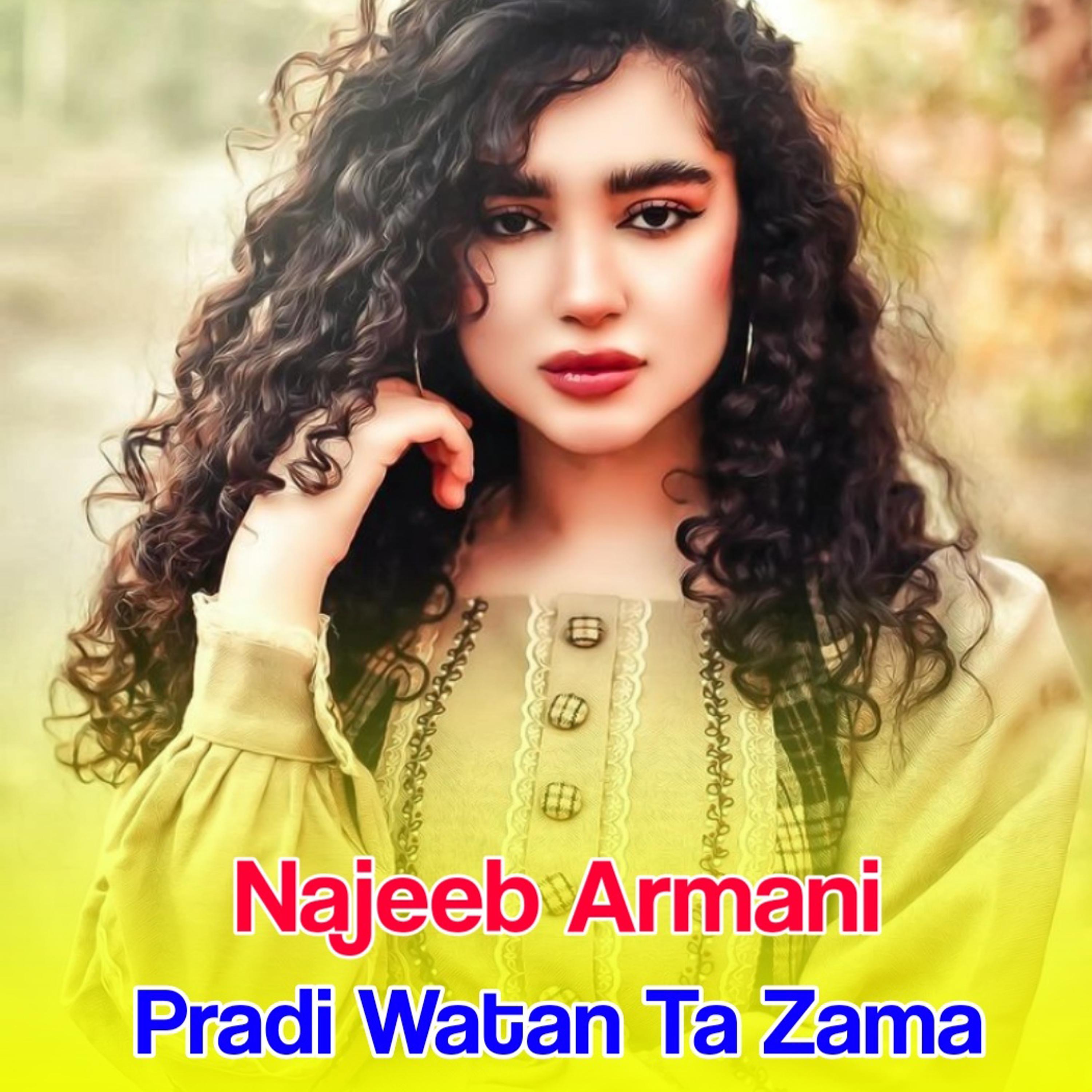 Постер альбома Pradi Watan Ta Zama