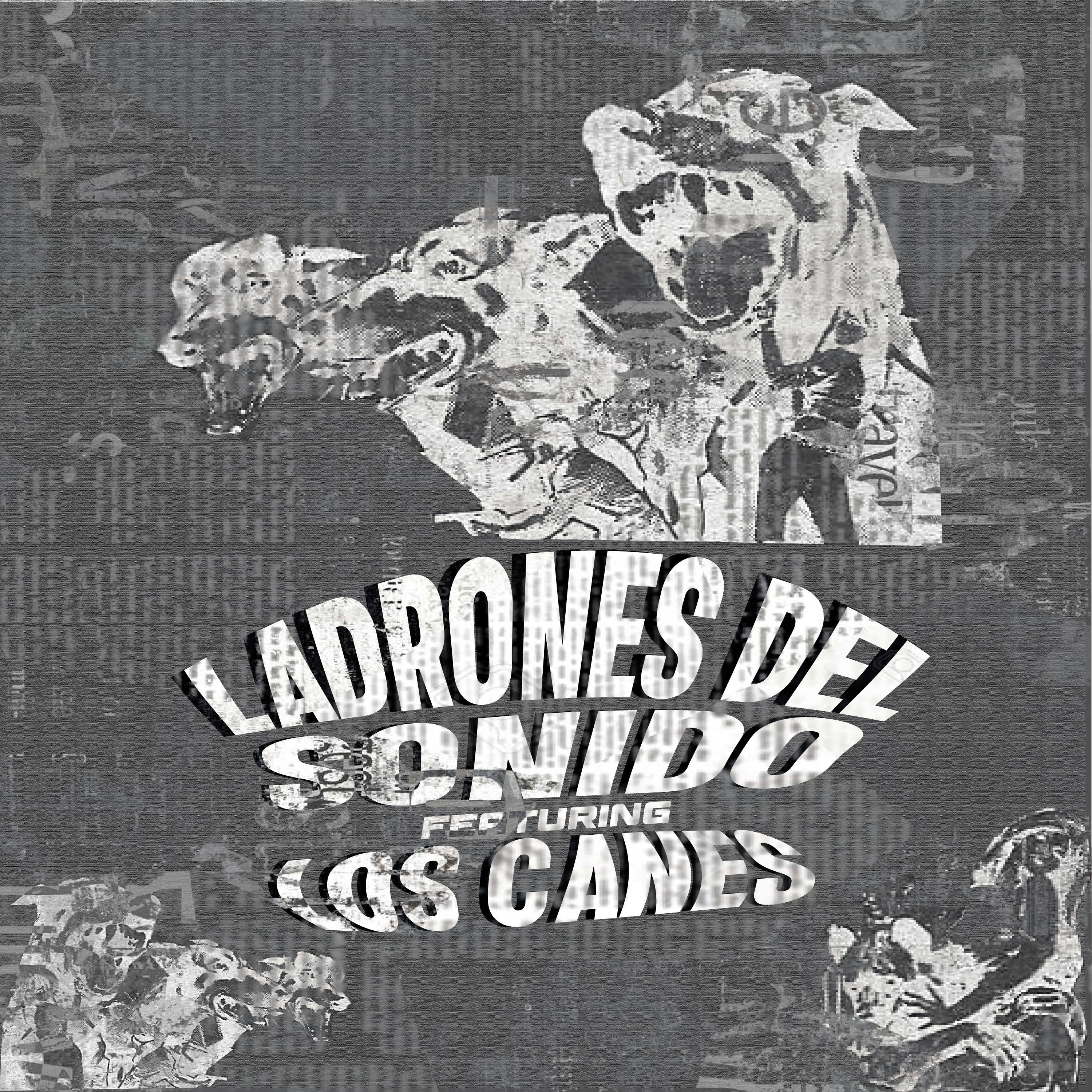 Постер альбома Ladrones del Sonido