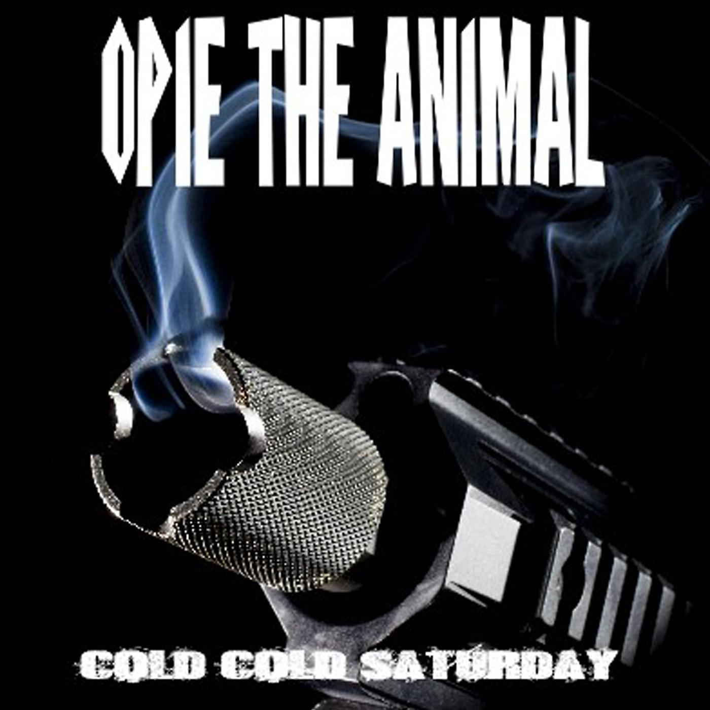Постер альбома Cold Cold Saturday