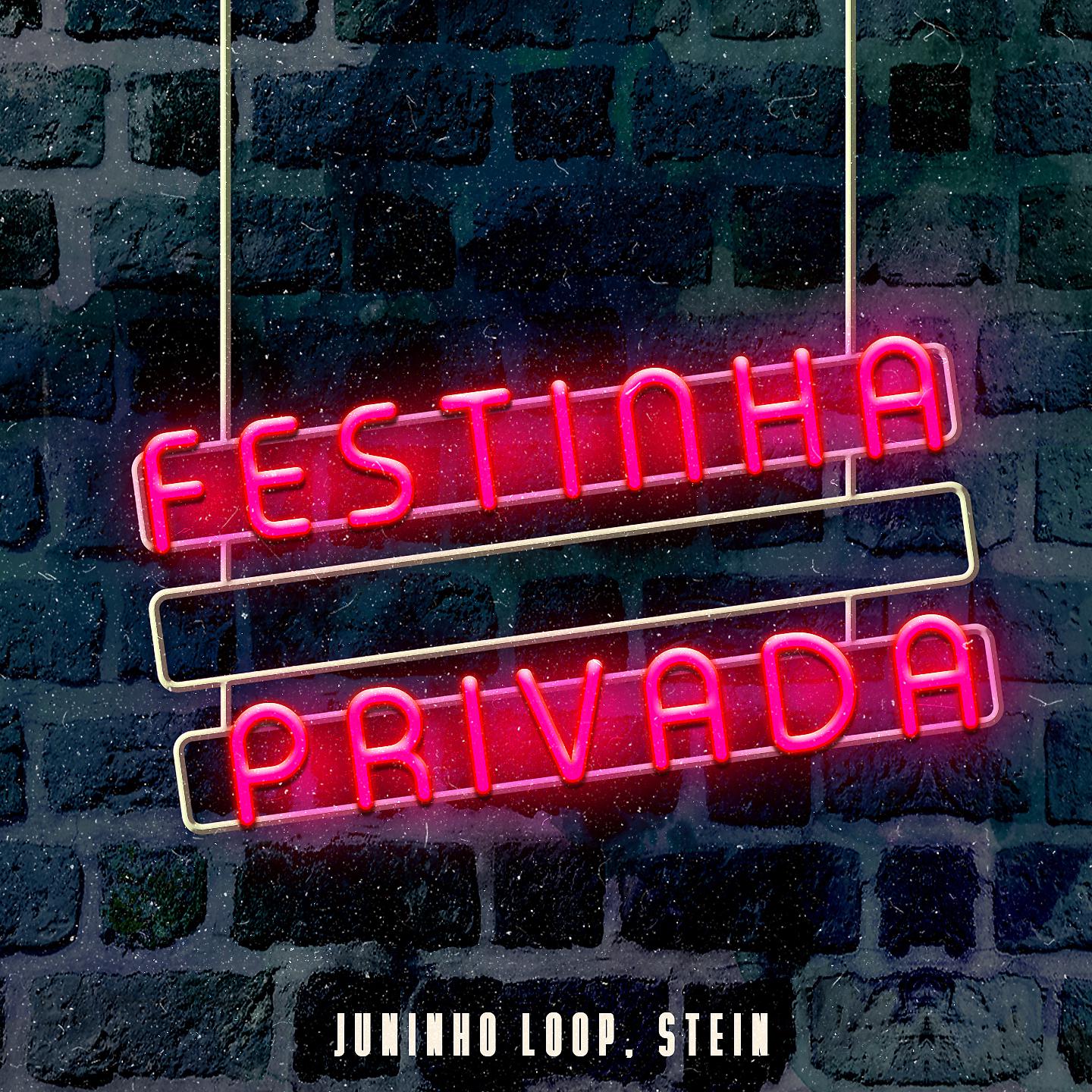 Постер альбома Festinha Privada