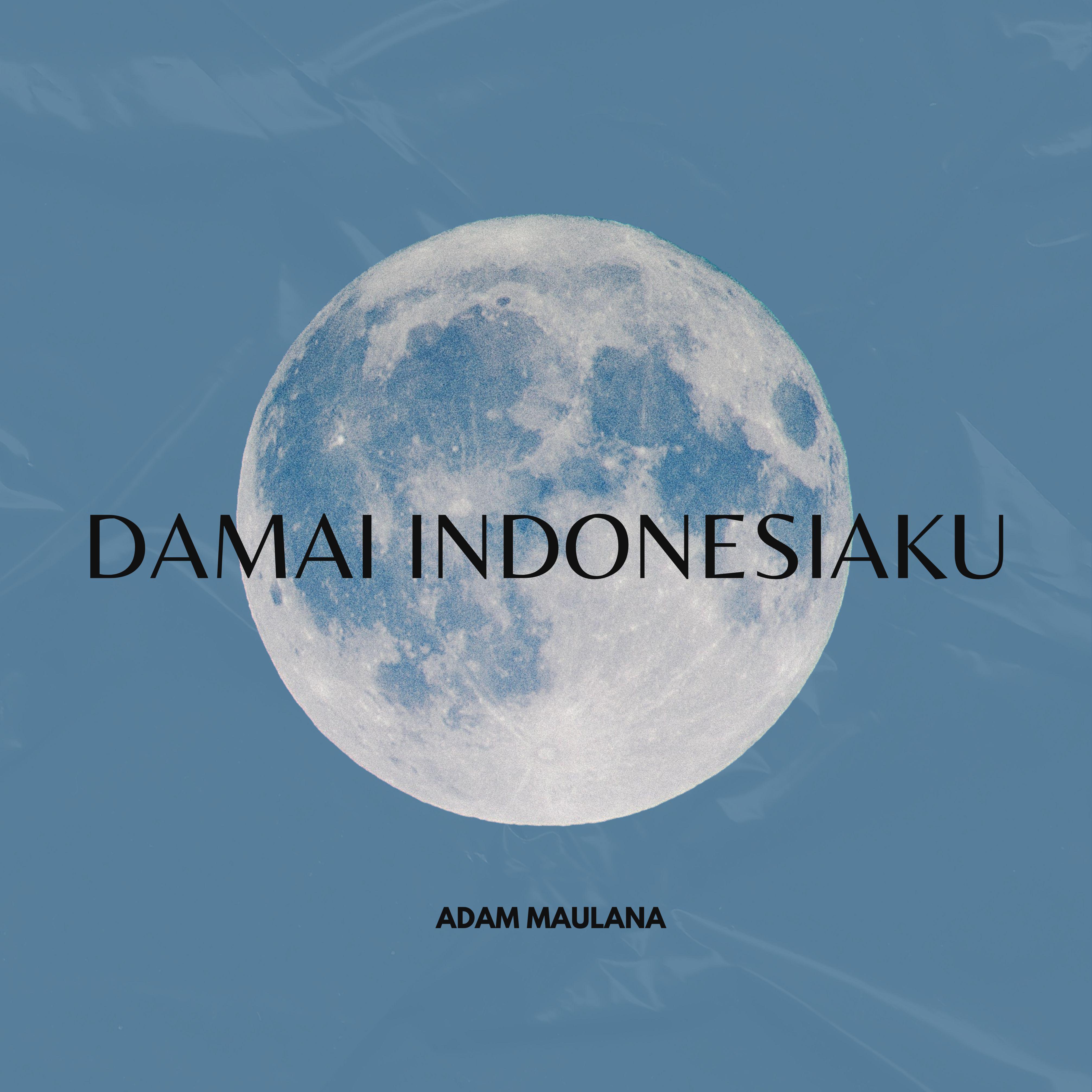 Постер альбома DAMAI INDONESIAKU