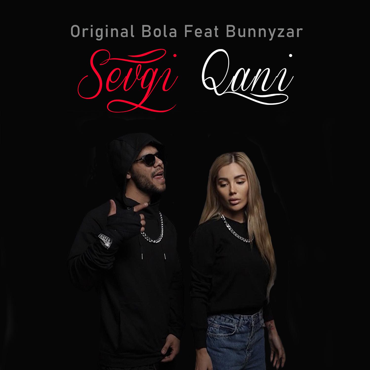 Постер альбома Sevgi Qani
