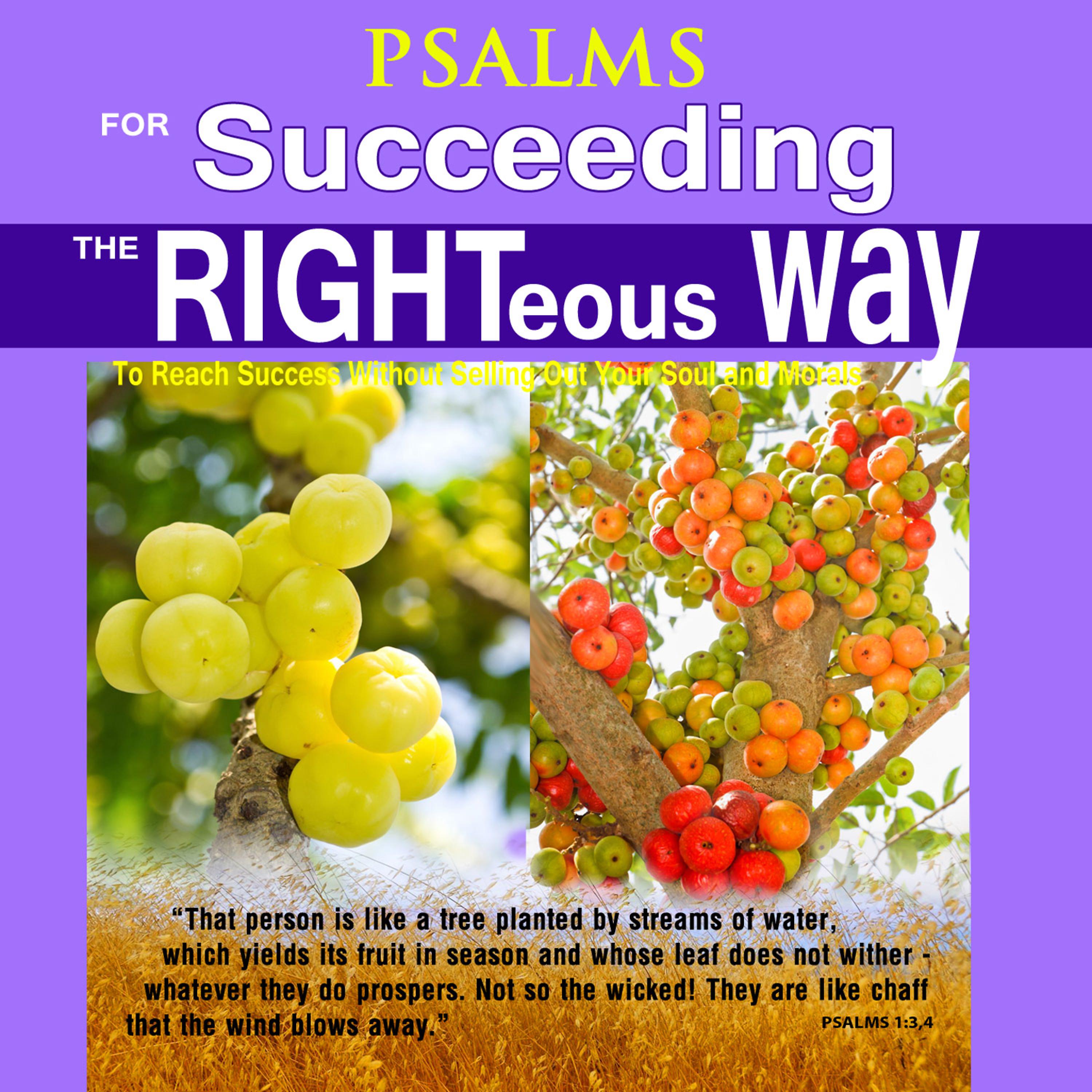Постер альбома Psalms for Succeeding Righteous Way