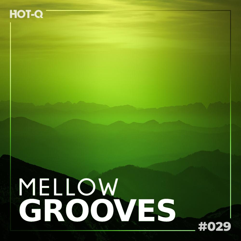 Постер альбома Mellow Grooves 029