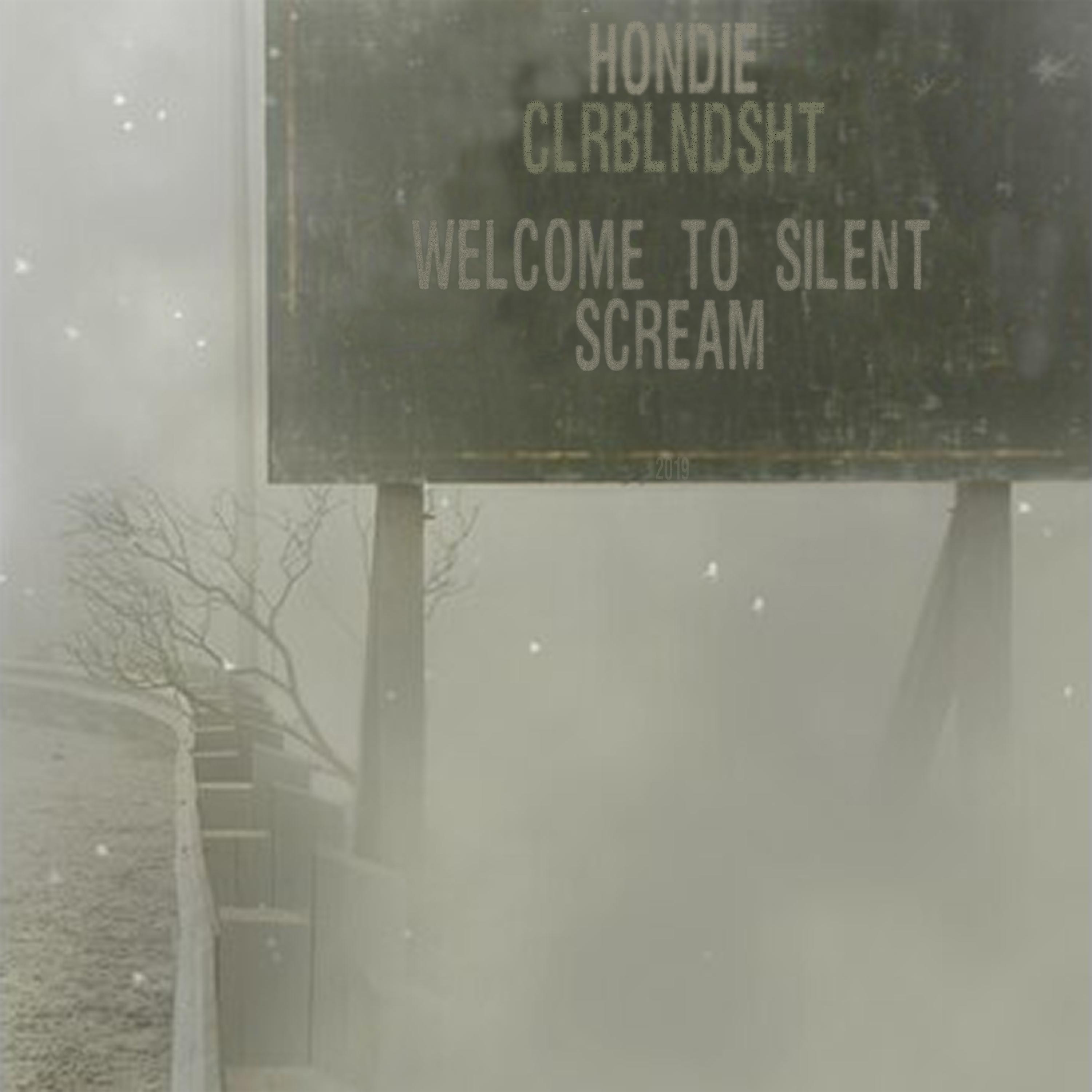 Постер альбома Welcome to Silent Scream