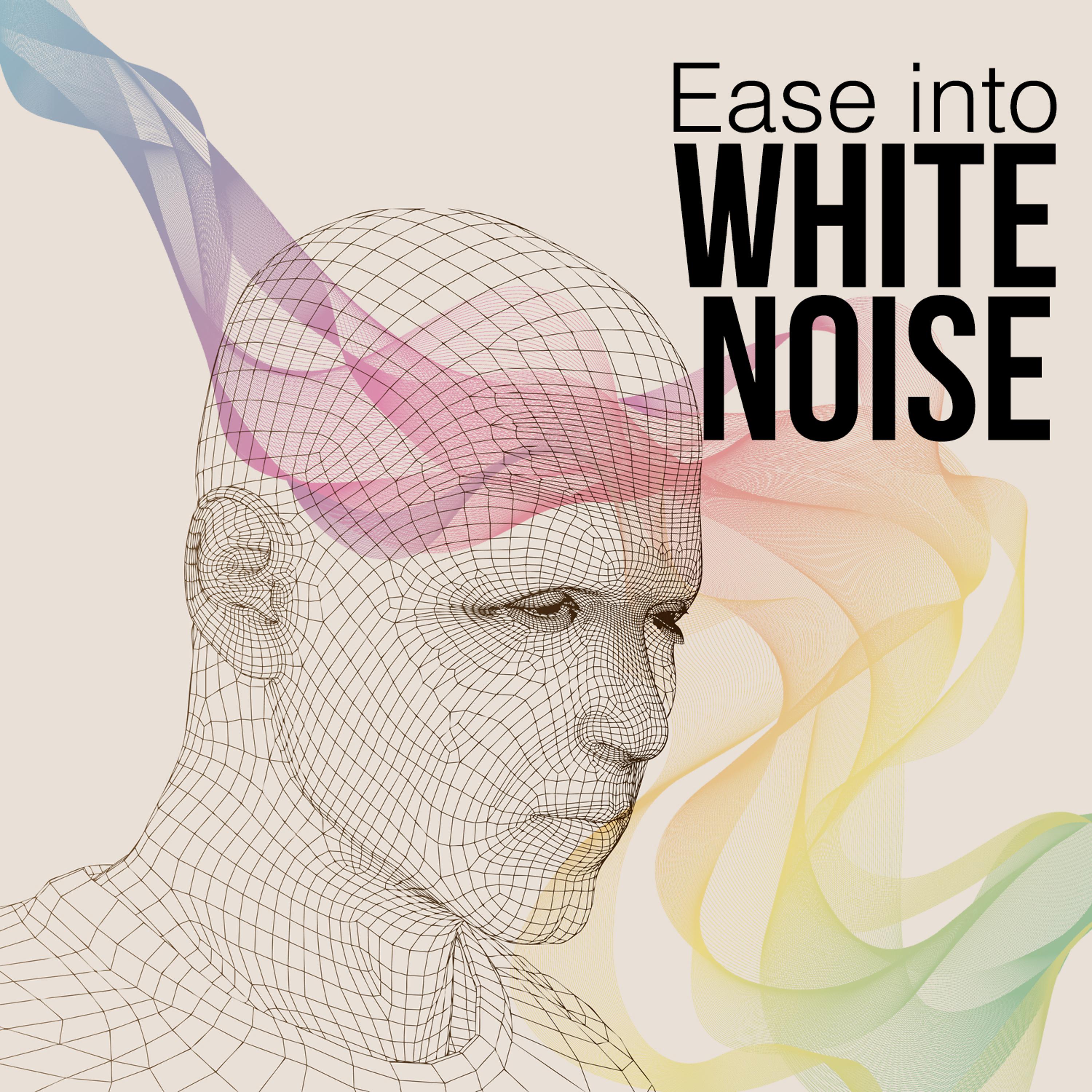 Постер альбома Ease into White Noise