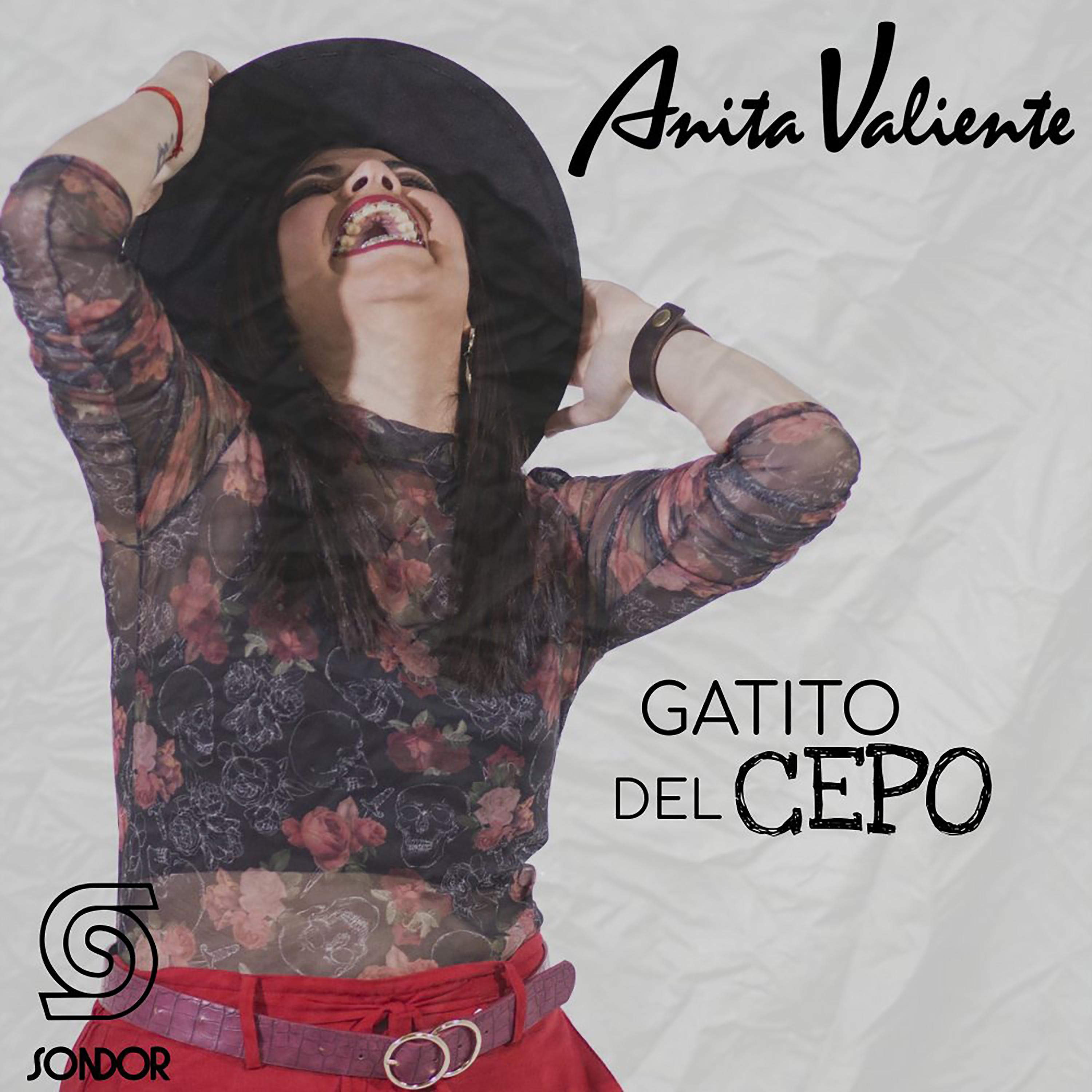 Постер альбома Gatito del Cepo